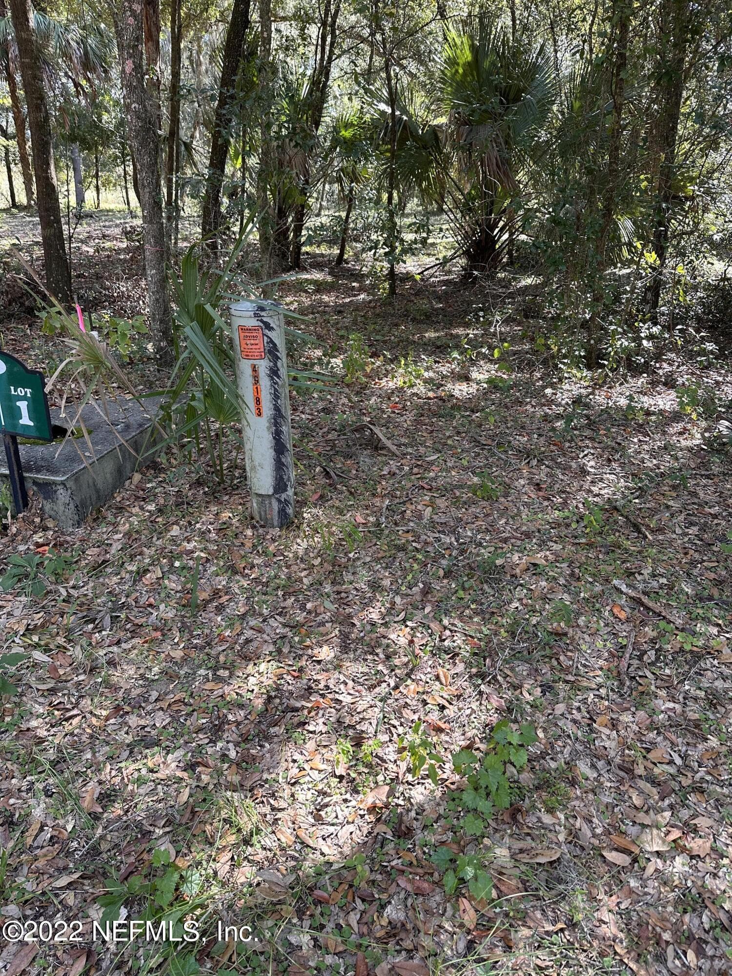 Photo 3 of 00-01 SE 159TH Lane, Umatilla, FL 32784