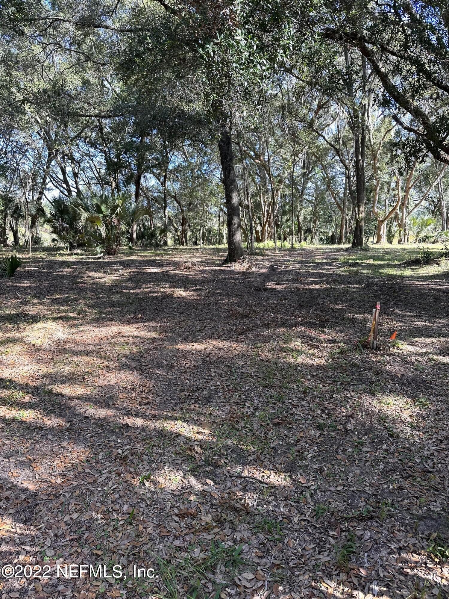 Photo 4 of 00-01 SE 159TH Lane, Umatilla, FL 32784