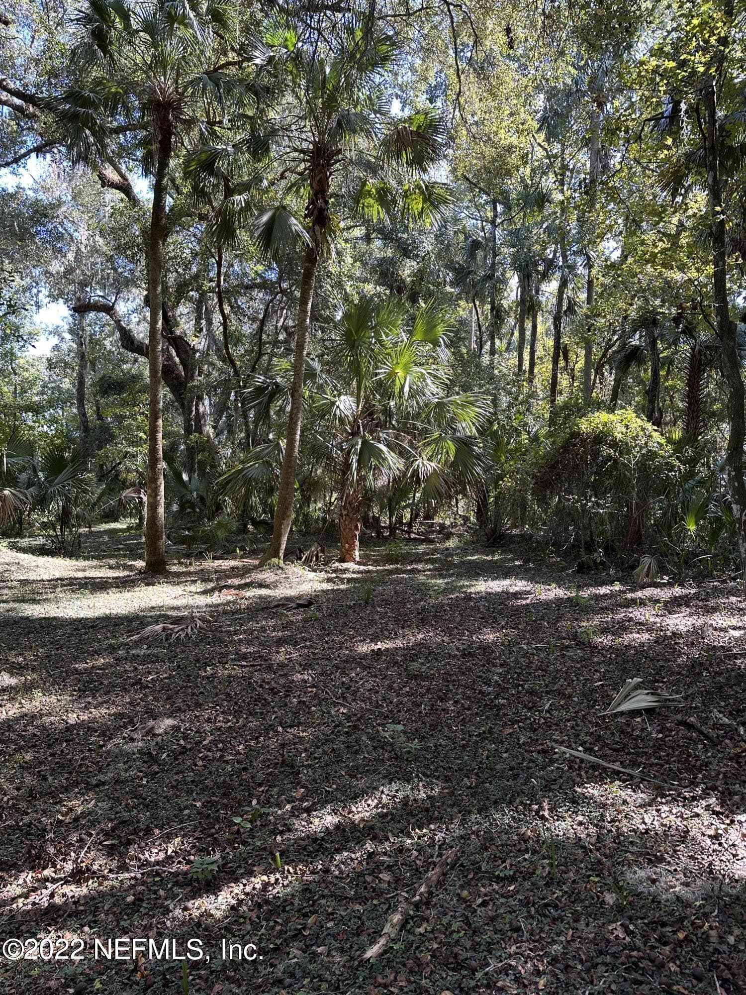 Photo 4 of 00-08 SE 265TH COURT Road, Umatilla, FL 32784