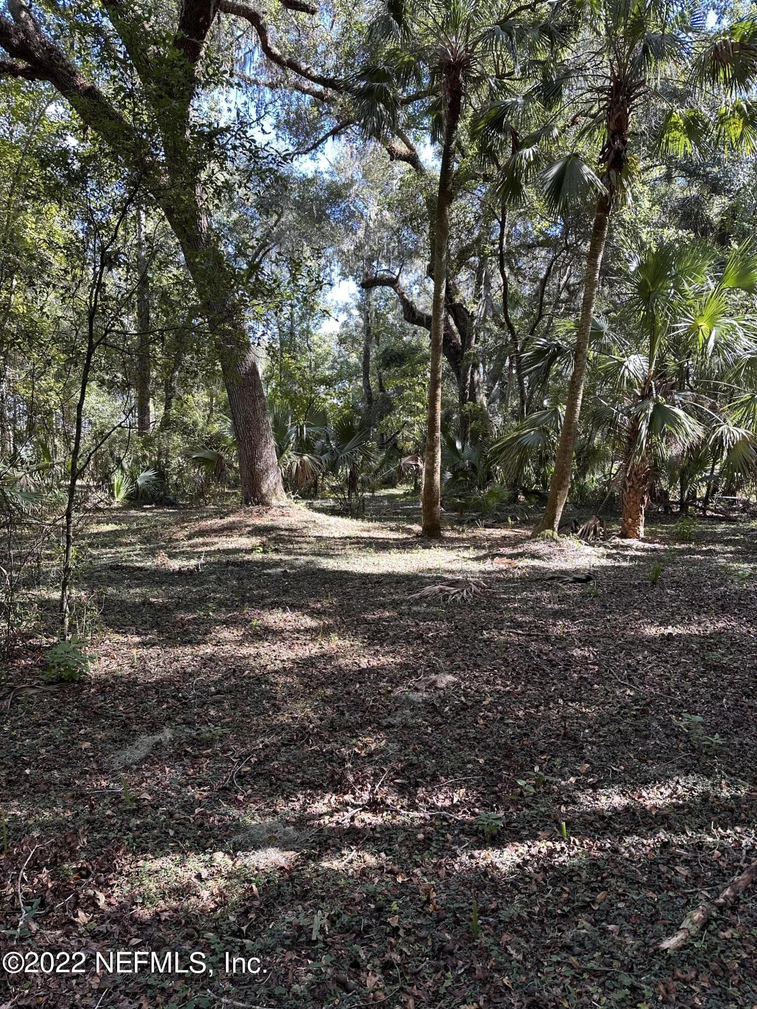 Photo 5 of 00-08 SE 265TH COURT Road, Umatilla, FL 32784