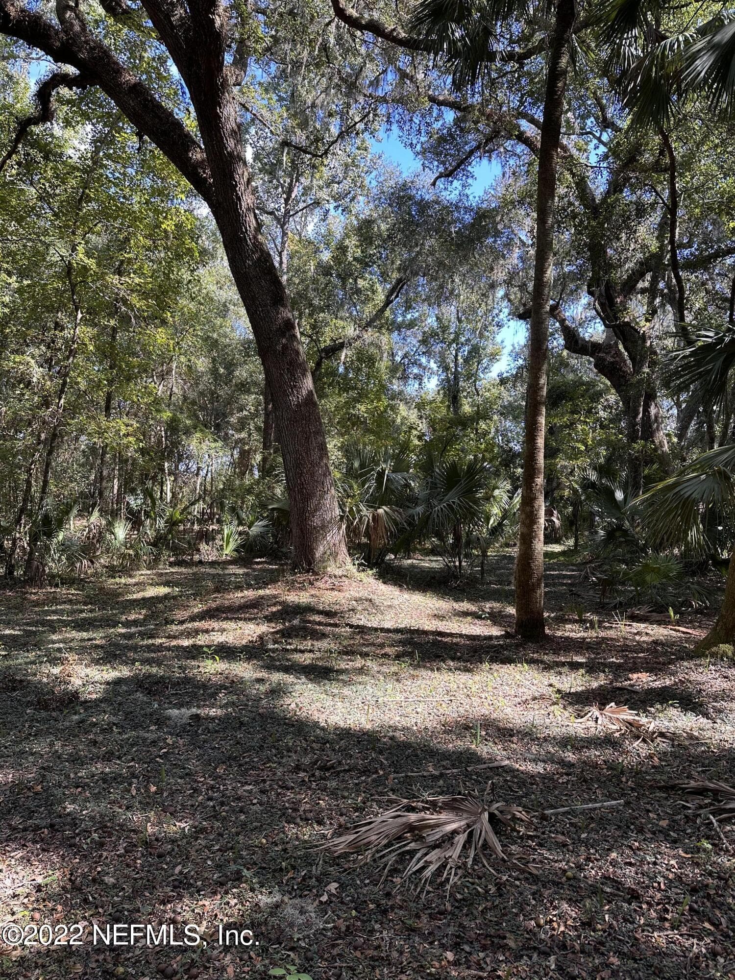 Photo 14 of 00-09 SE 265TH COURT Road, Umatilla, FL 32784