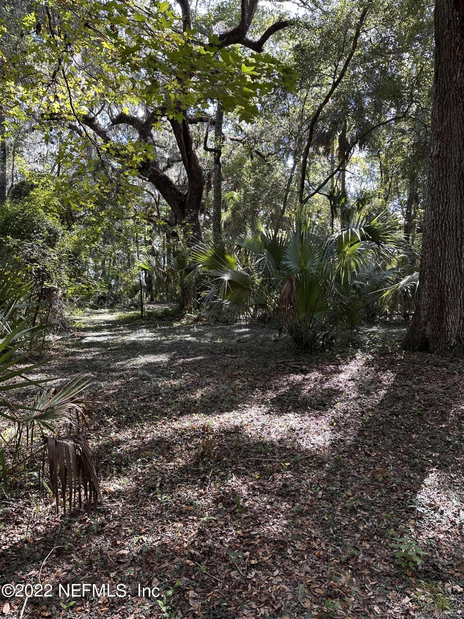 Photo 2 of 00-10 SE 265TH COURT Road, Umatilla, FL 32784