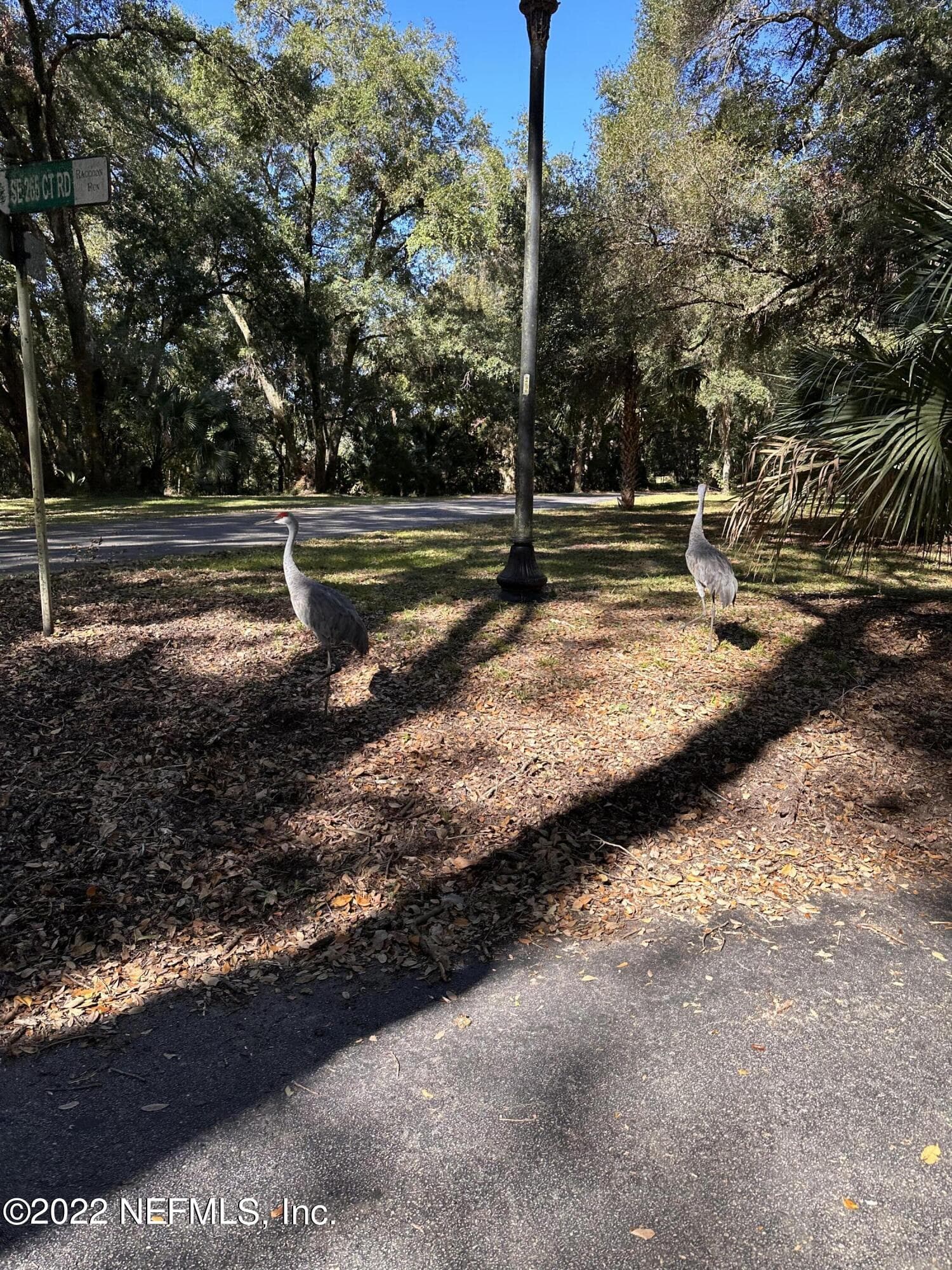 Photo 4 of 00-10 SE 265TH COURT Road, Umatilla, FL 32784