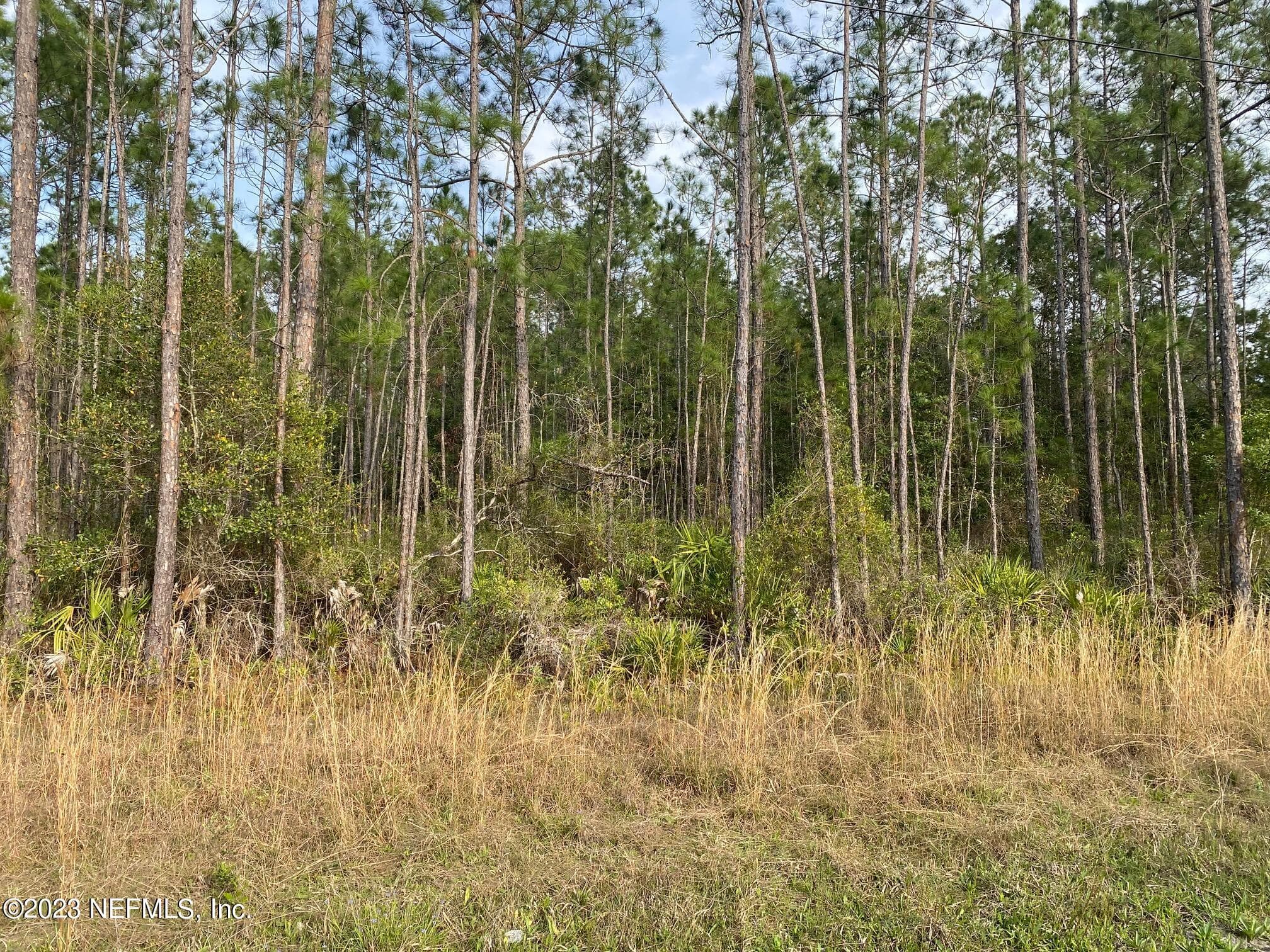 Photo 5 of AAA CR 315, Interlachen, FL 32148
