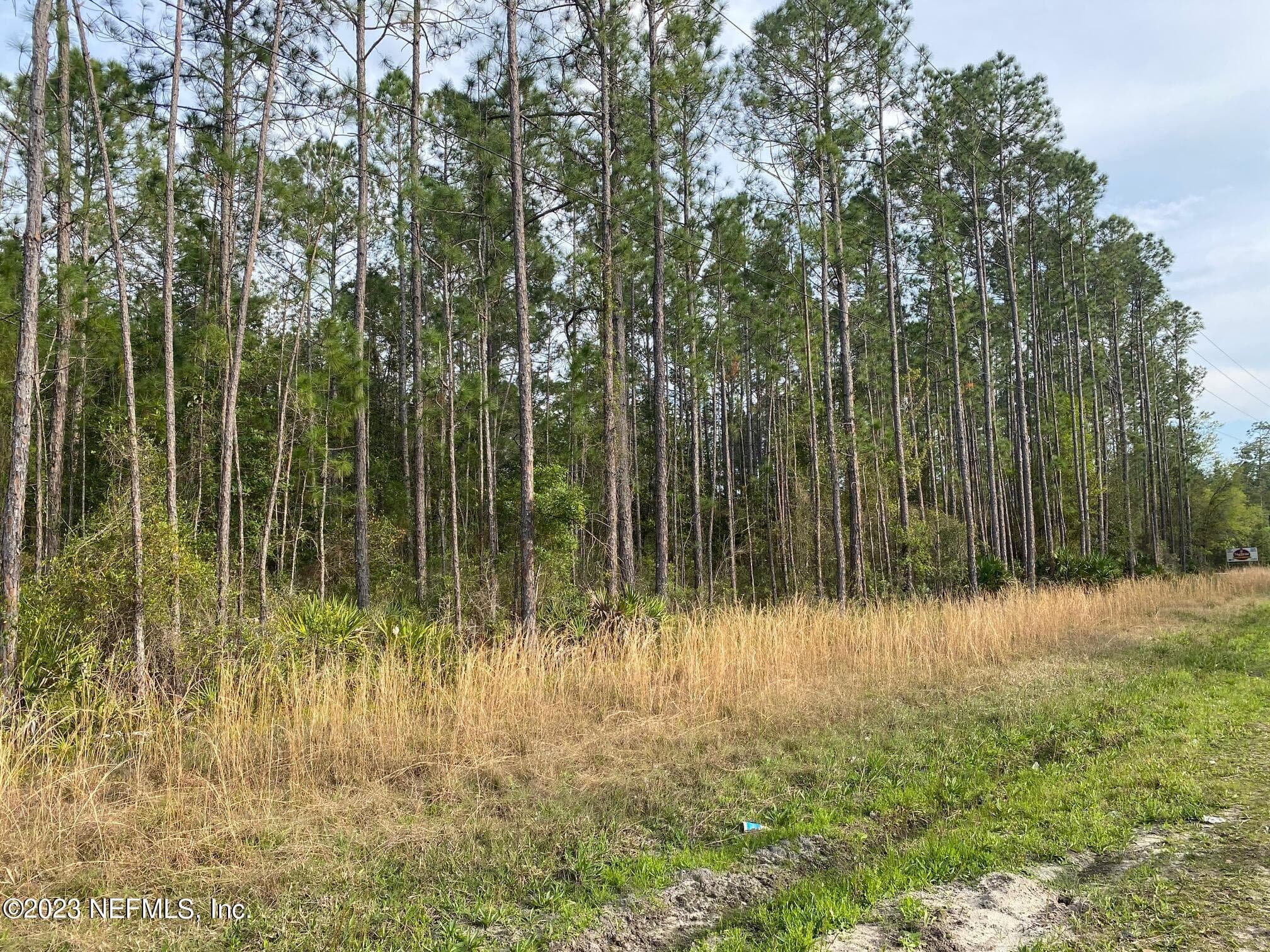 Photo 6 of AAA CR 315, Interlachen, FL 32148