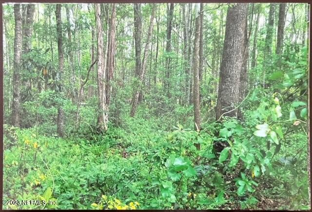 Photo 25 of 2777 COUNTY RD 220, Middleburg, FL 32068