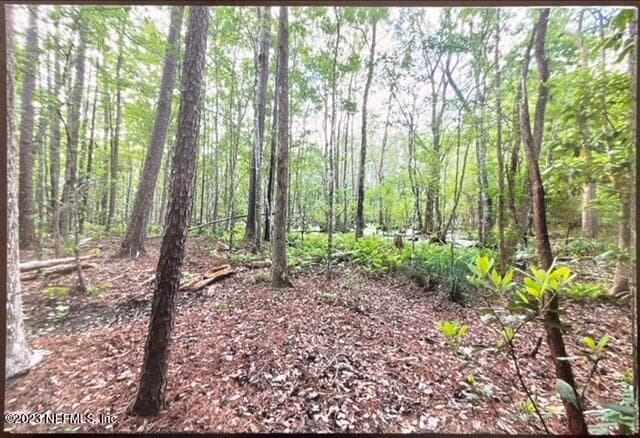 Photo 26 of 2777 COUNTY RD 220, Middleburg, FL 32068