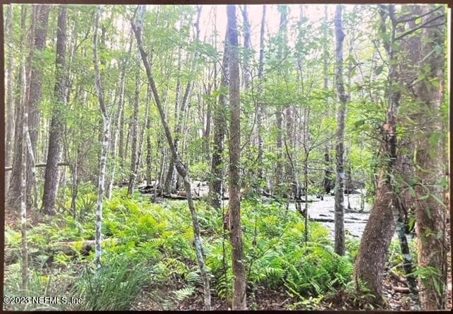 Photo 27 of 2777 COUNTY RD 220, Middleburg, FL 32068