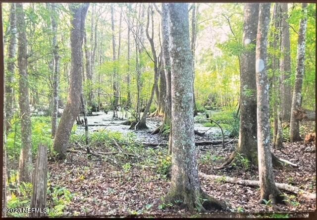 Photo 28 of 2777 COUNTY RD 220, Middleburg, FL 32068