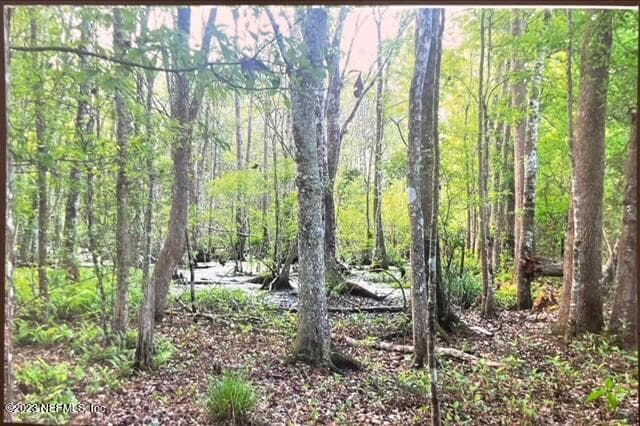 Photo 29 of 2777 COUNTY RD 220, Middleburg, FL 32068
