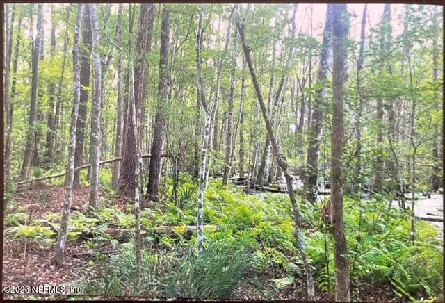 Photo 16 of 2777 COUNTY RD 220, Middleburg, FL 32068