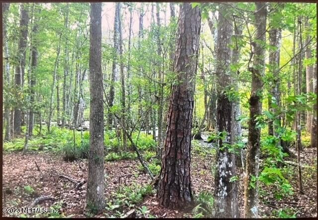 Photo 30 of 2777 COUNTY RD 220, Middleburg, FL 32068