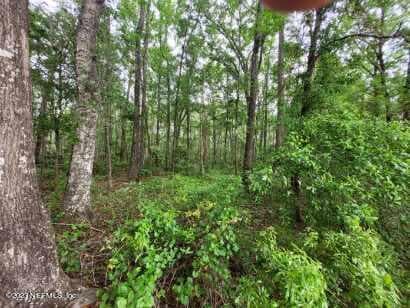 Photo 19 of 2777 COUNTY RD 220, Middleburg, FL 32068