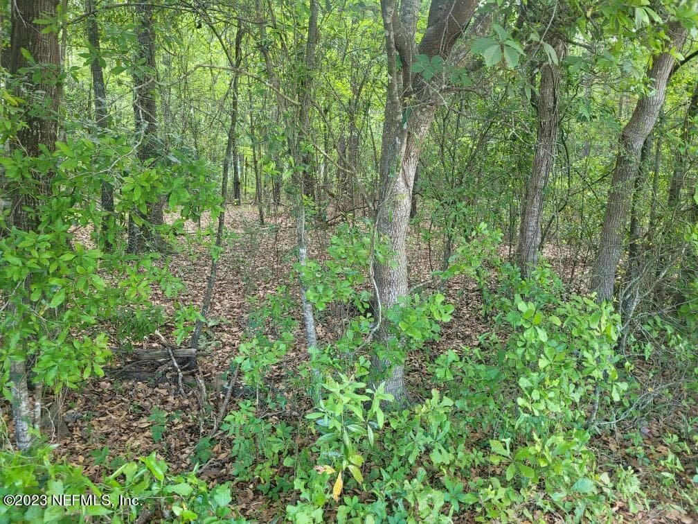 Photo 20 of 2777 COUNTY RD 220, Middleburg, FL 32068
