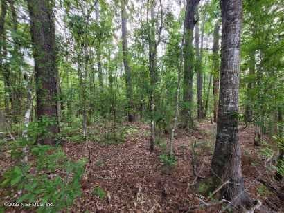 Photo 22 of 2777 COUNTY RD 220, Middleburg, FL 32068