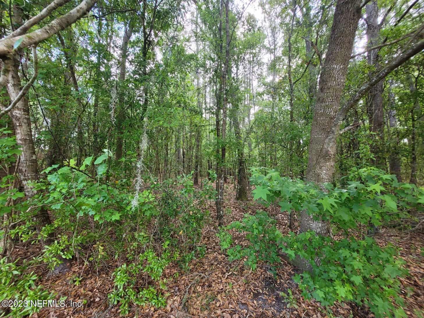 Photo 15 of 2777 COUNTY RD 220, Middleburg, FL 32068