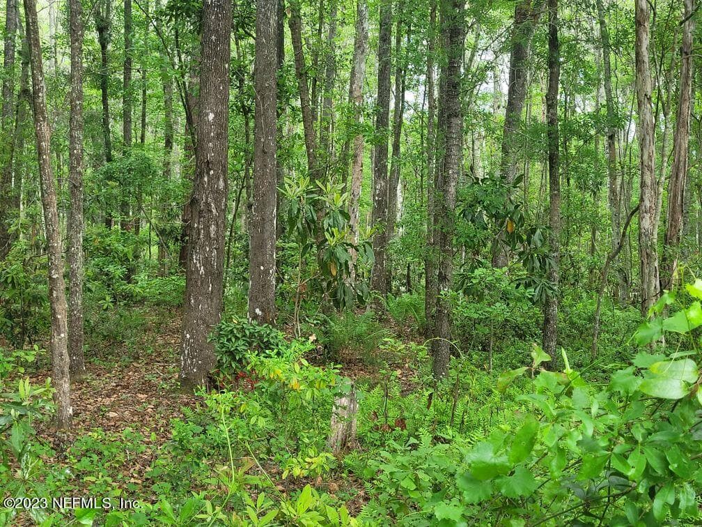 Photo 31 of 2777 COUNTY RD 220, Middleburg, FL 32068
