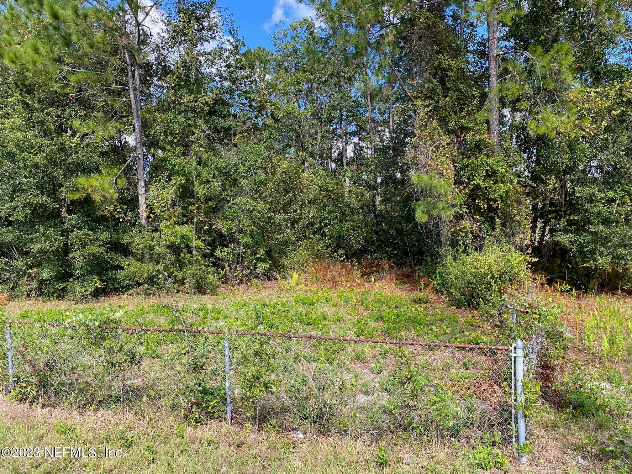 Photo 5 of TBD FL SR 20 Highway, Interlachen, FL 32148