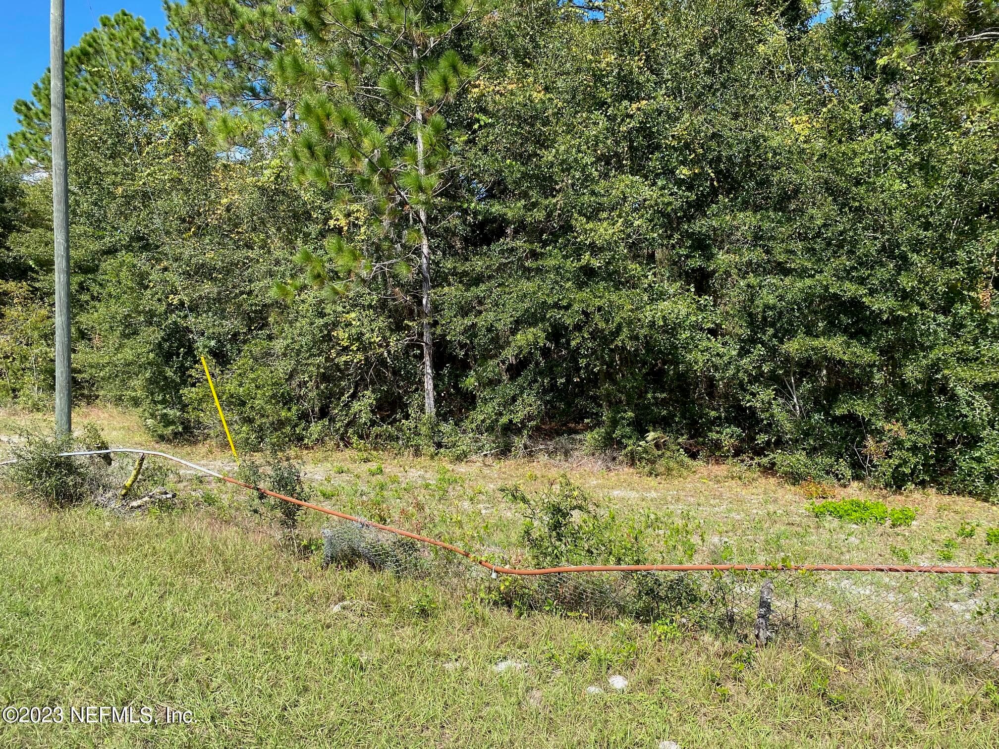 Photo 6 of TBD FL SR 20 Highway, Interlachen, FL 32148