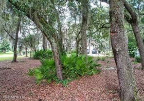 Photo 5 of 28963 GRANDVIEW Manor, Yulee, FL 32097