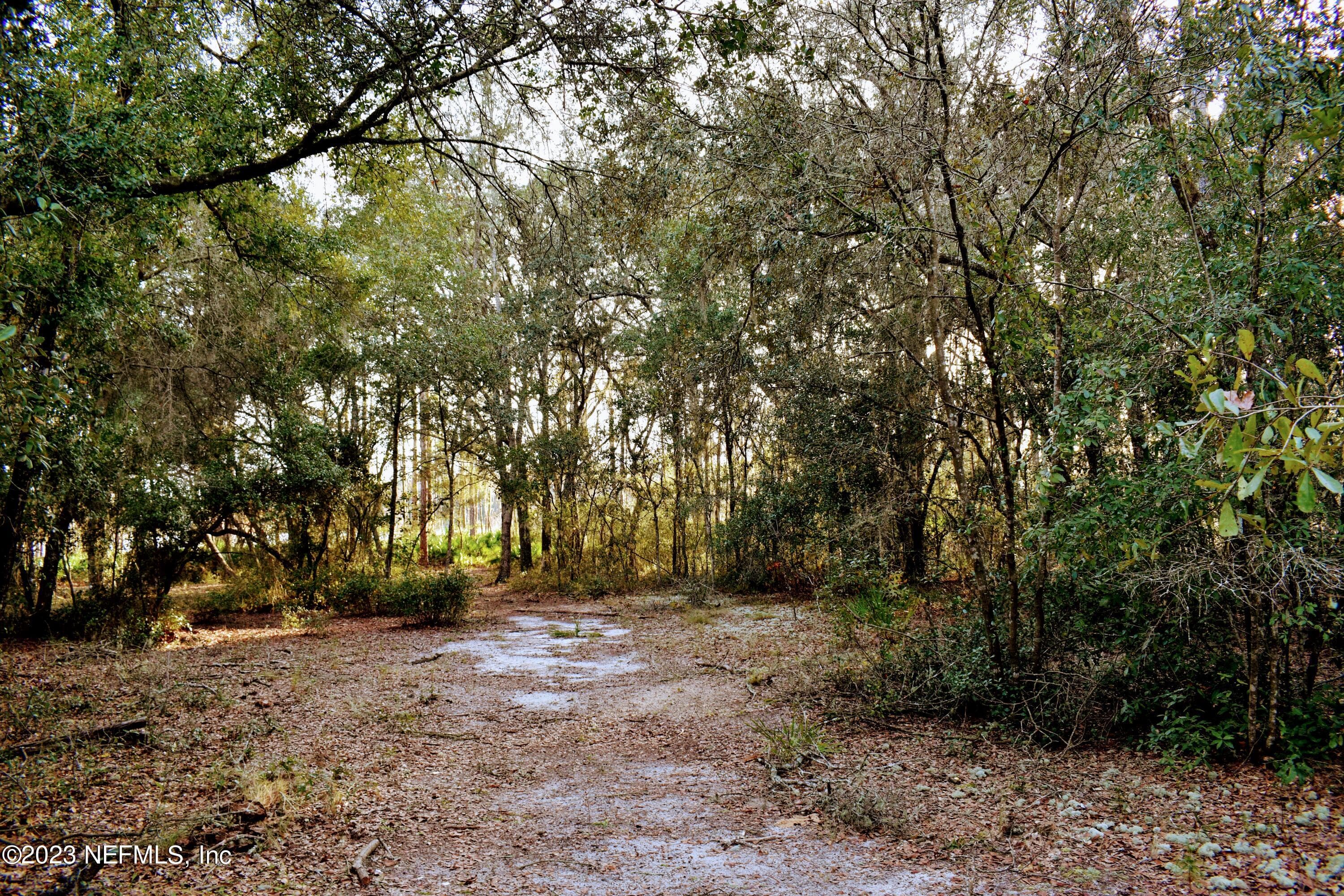 Photo 14 of 249 SIMPSON Drive, Interlachen, FL 32148