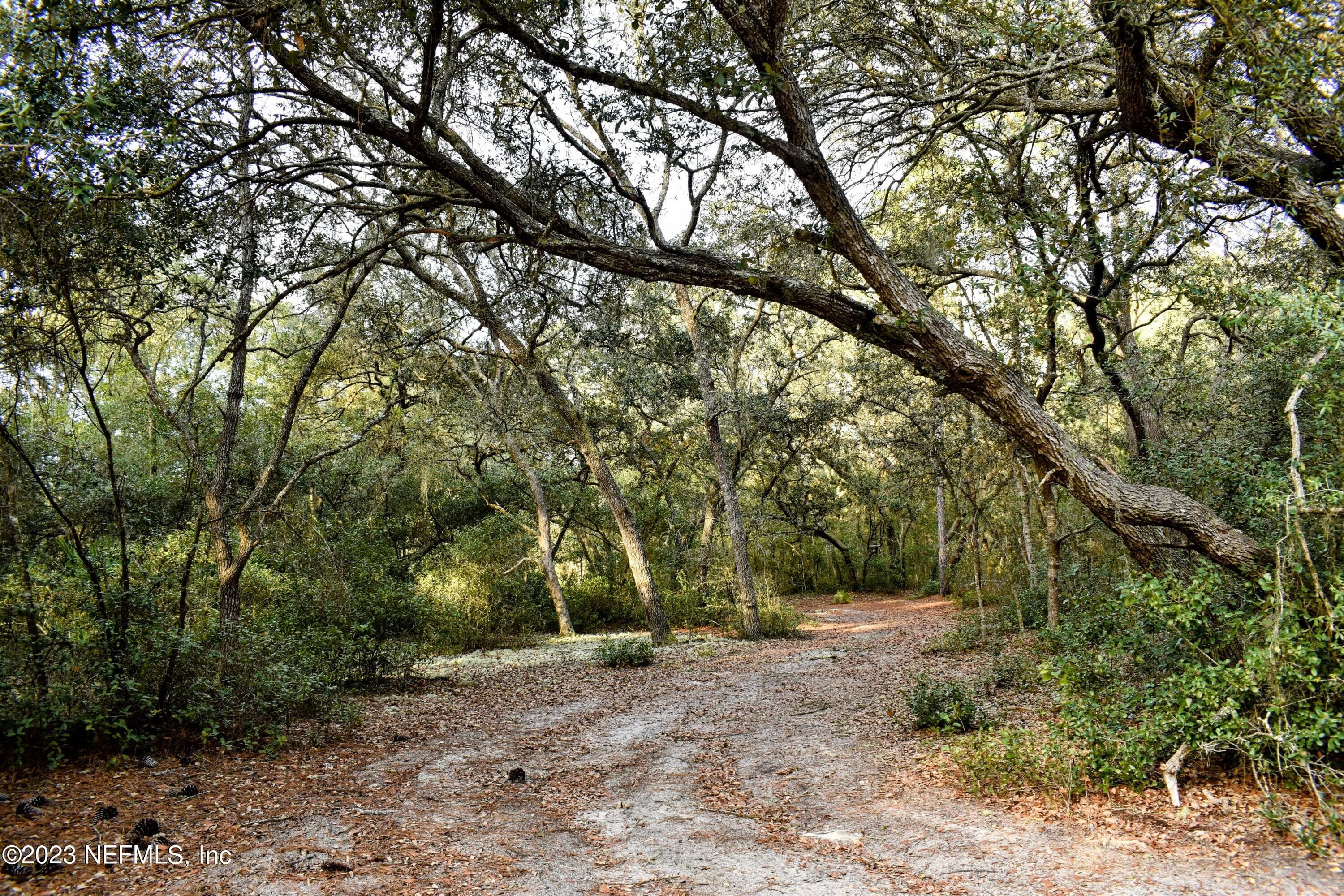 Photo 5 of 249 SIMPSON Drive, Interlachen, FL 32148