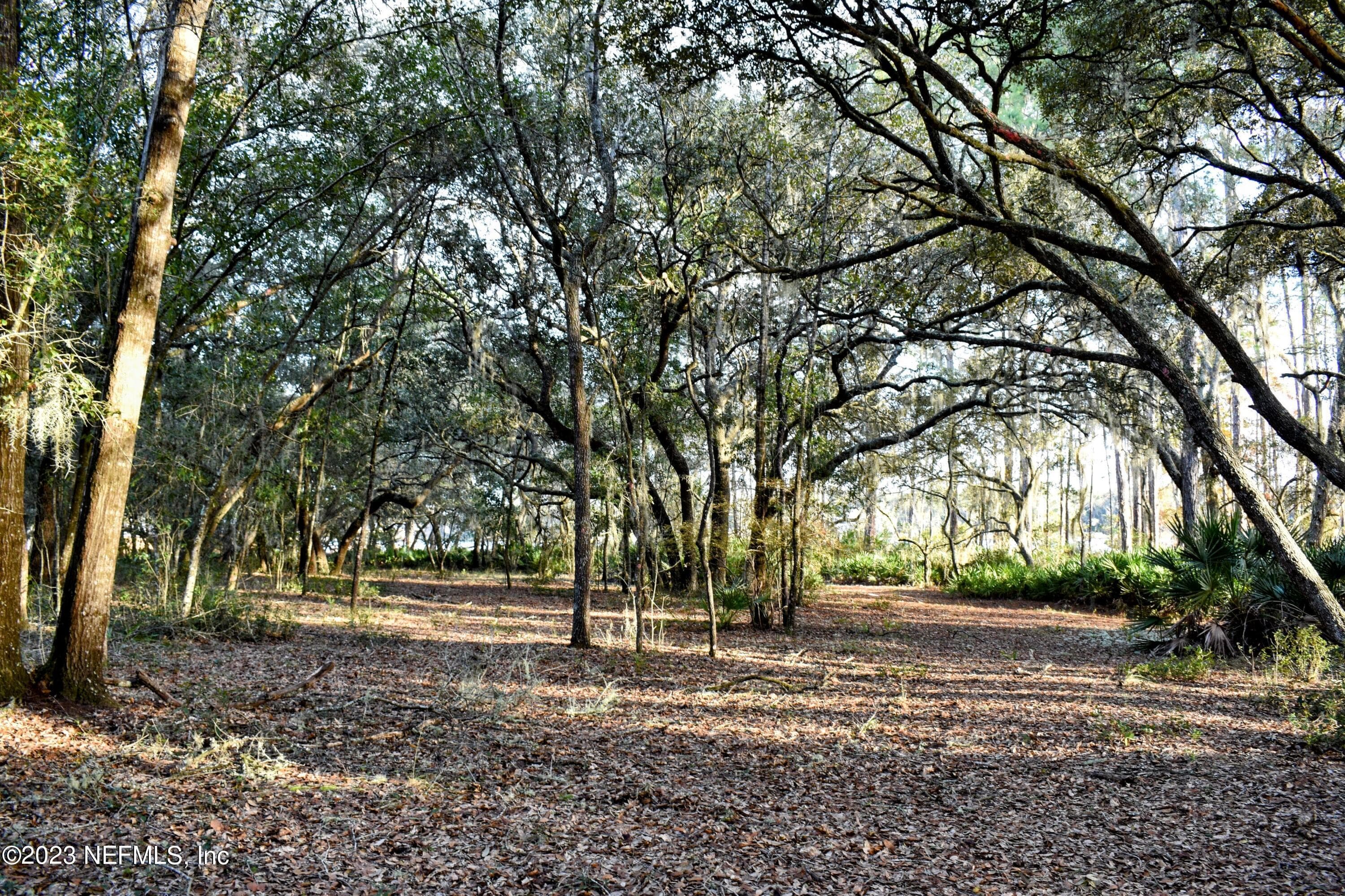 Photo 4 of 249 SIMPSON Drive, Interlachen, FL 32148