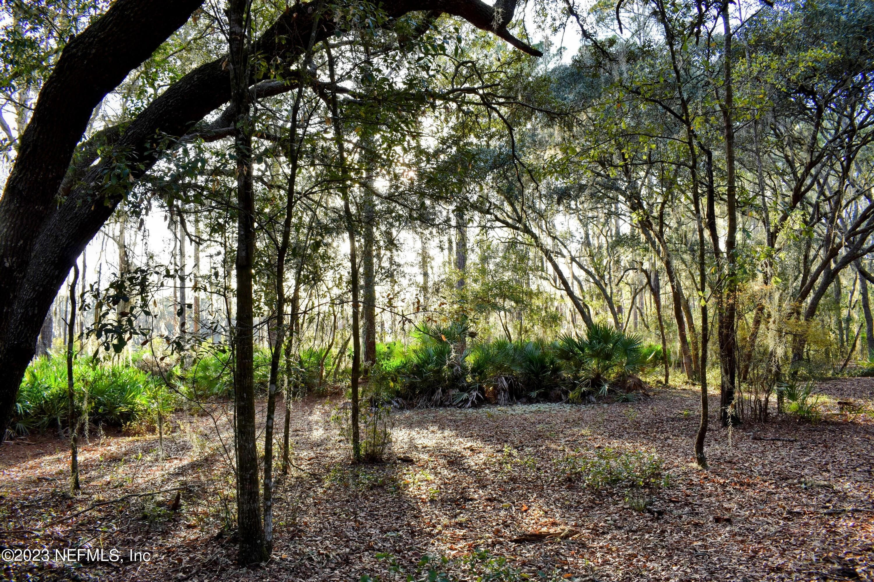Photo 17 of 249 SIMPSON Drive, Interlachen, FL 32148