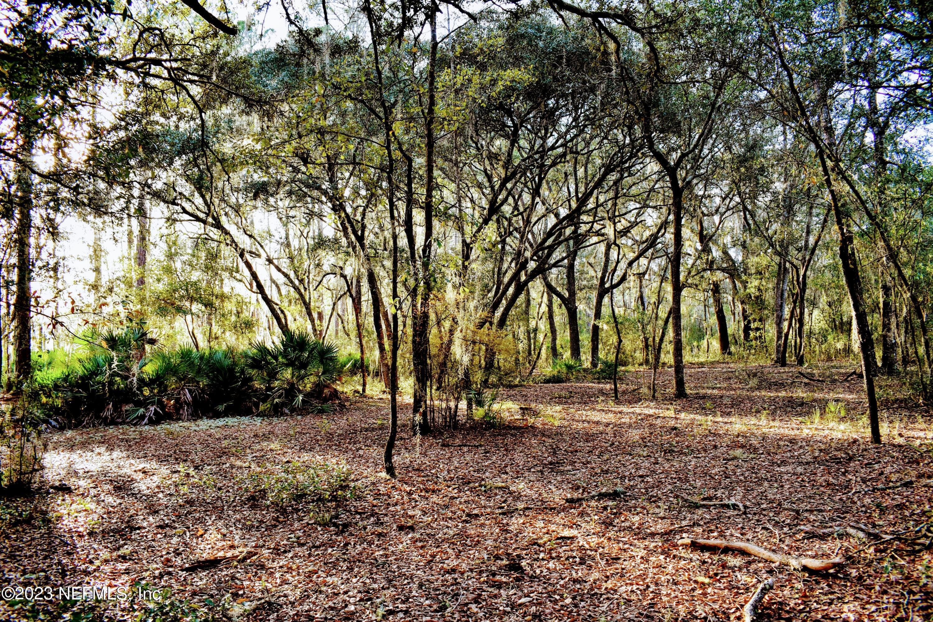 Photo 18 of 249 SIMPSON Drive, Interlachen, FL 32148