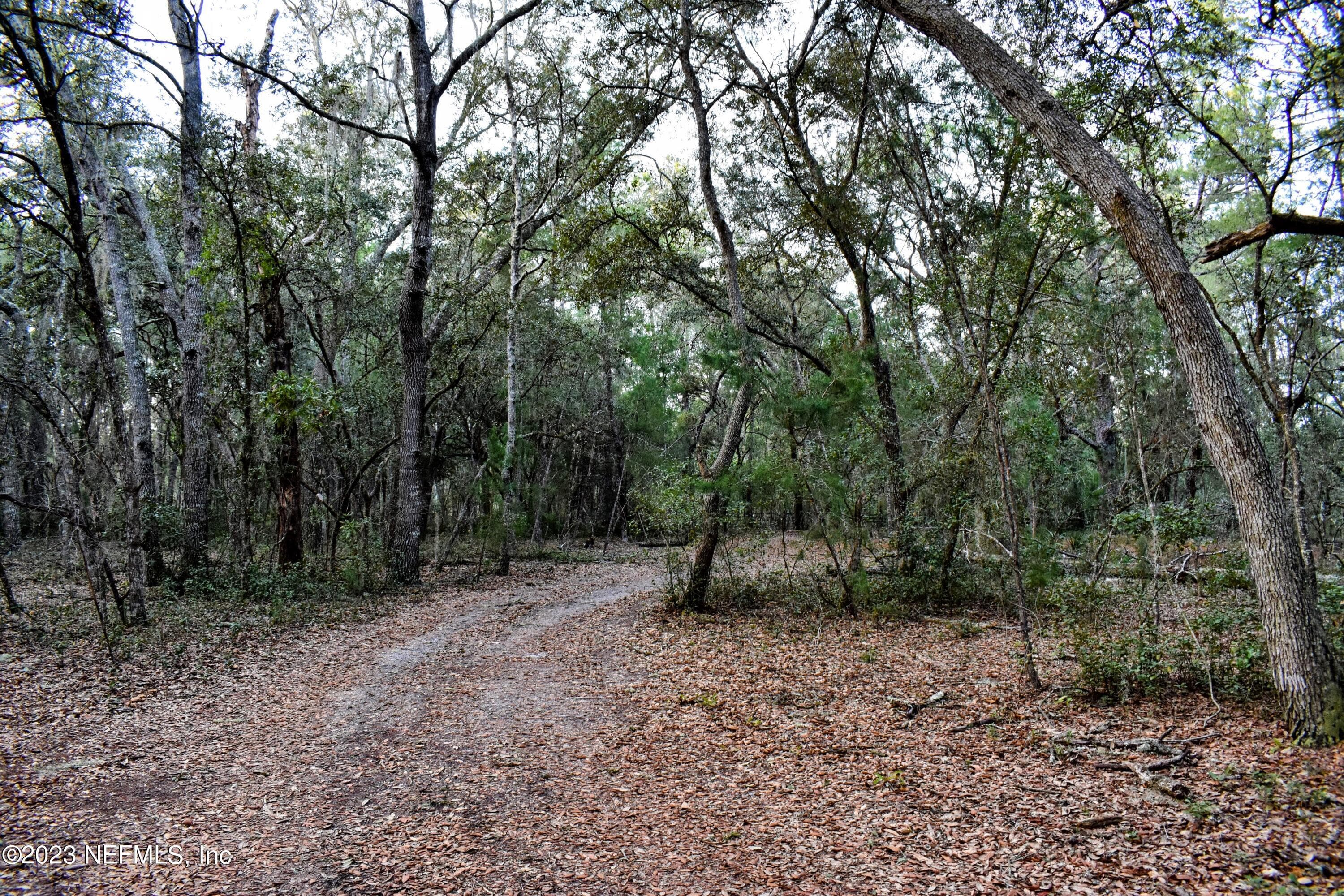 Photo 19 of 249 SIMPSON Drive, Interlachen, FL 32148