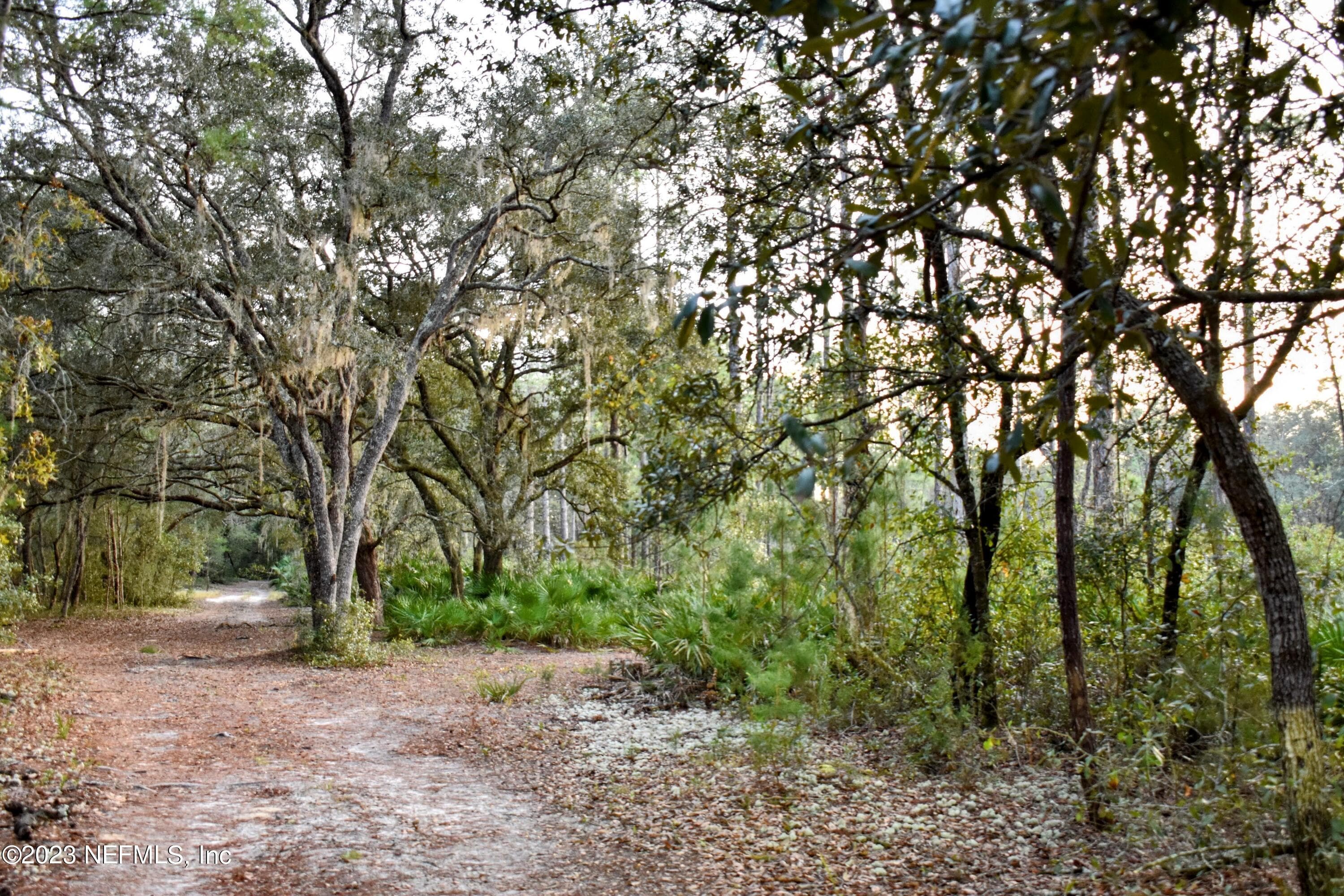 Photo 24 of 249 SIMPSON Drive, Interlachen, FL 32148
