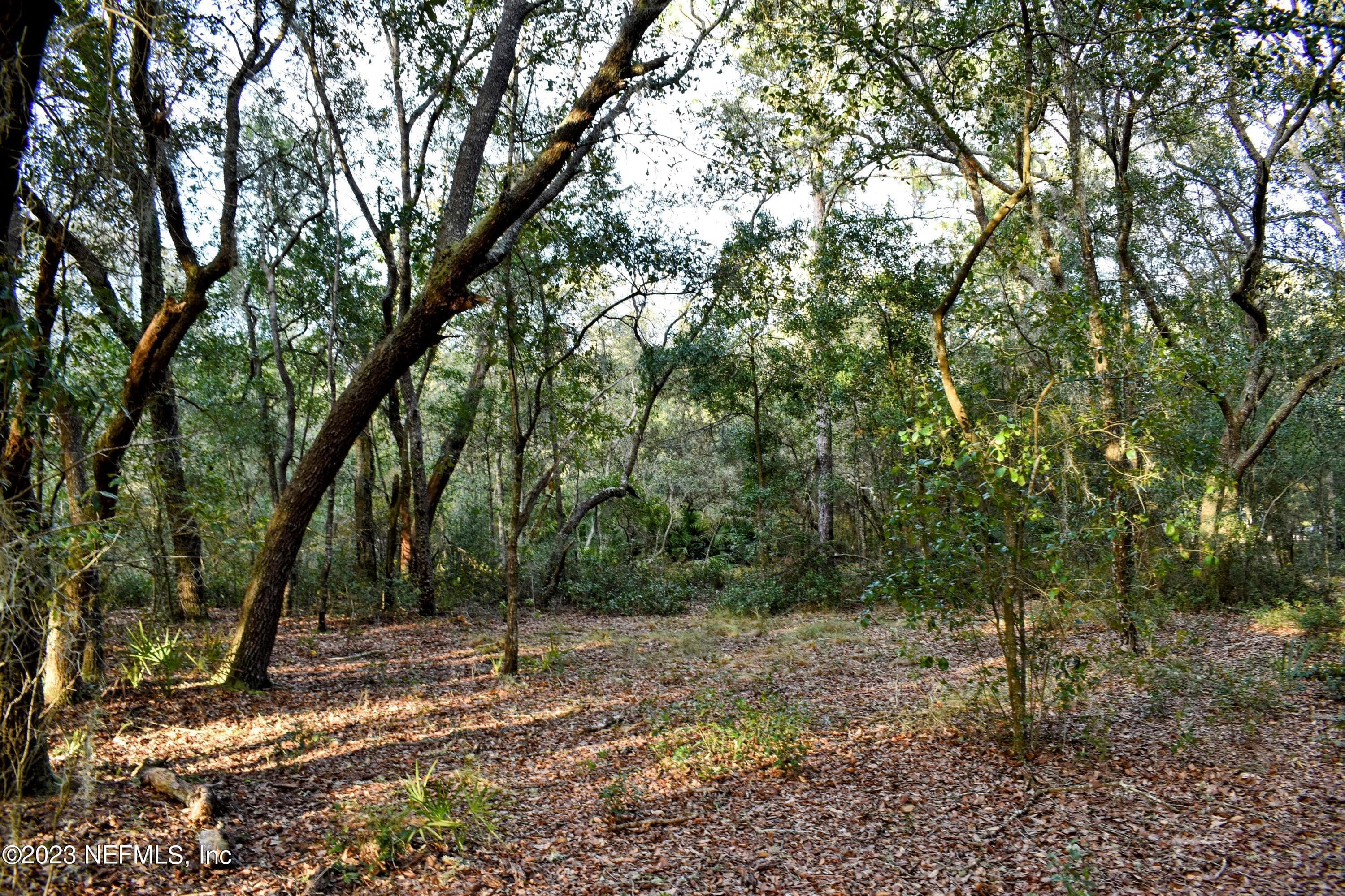 Photo 25 of 249 SIMPSON Drive, Interlachen, FL 32148