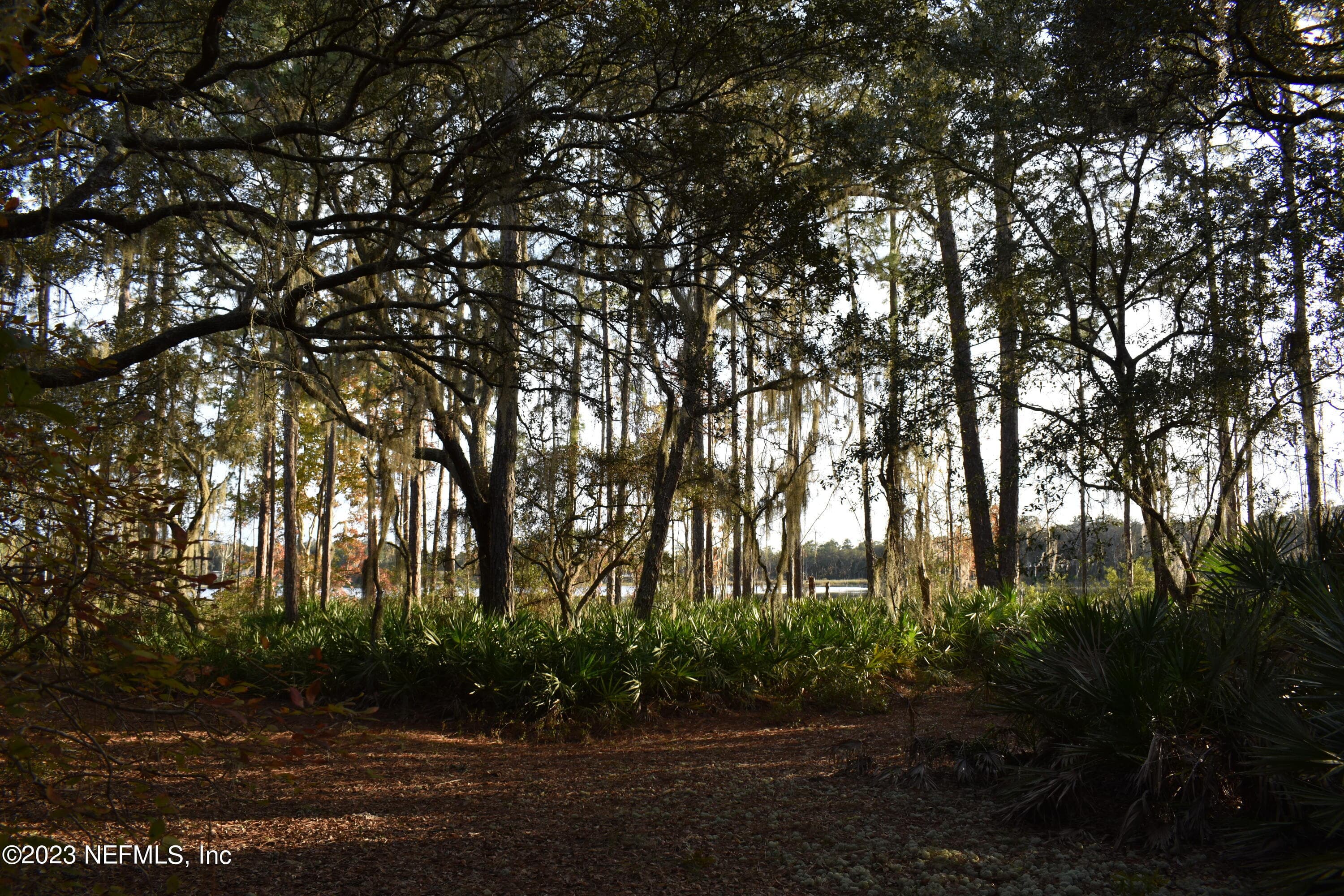 Photo 26 of 249 SIMPSON Drive, Interlachen, FL 32148