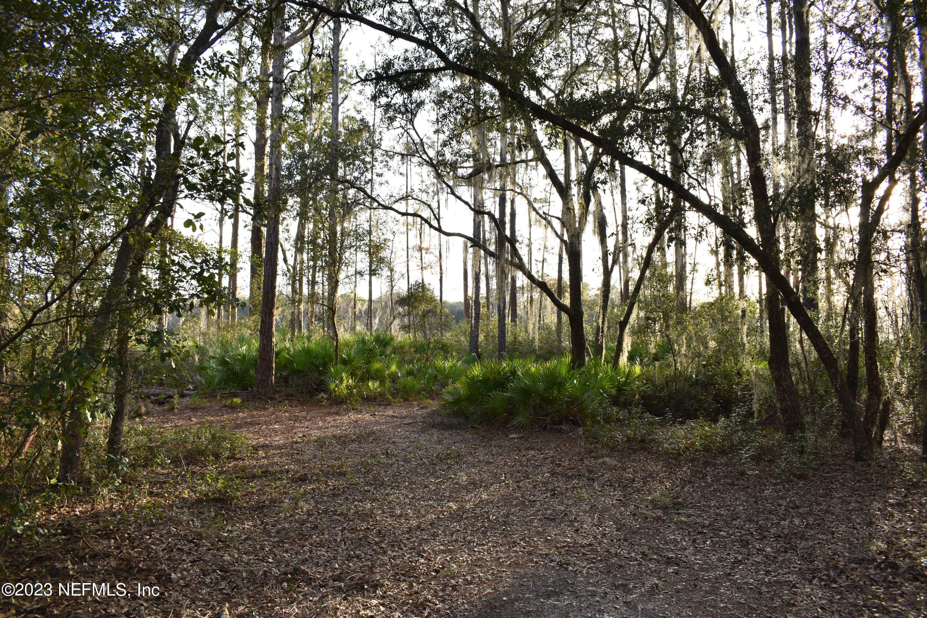 Photo 27 of 249 SIMPSON Drive, Interlachen, FL 32148