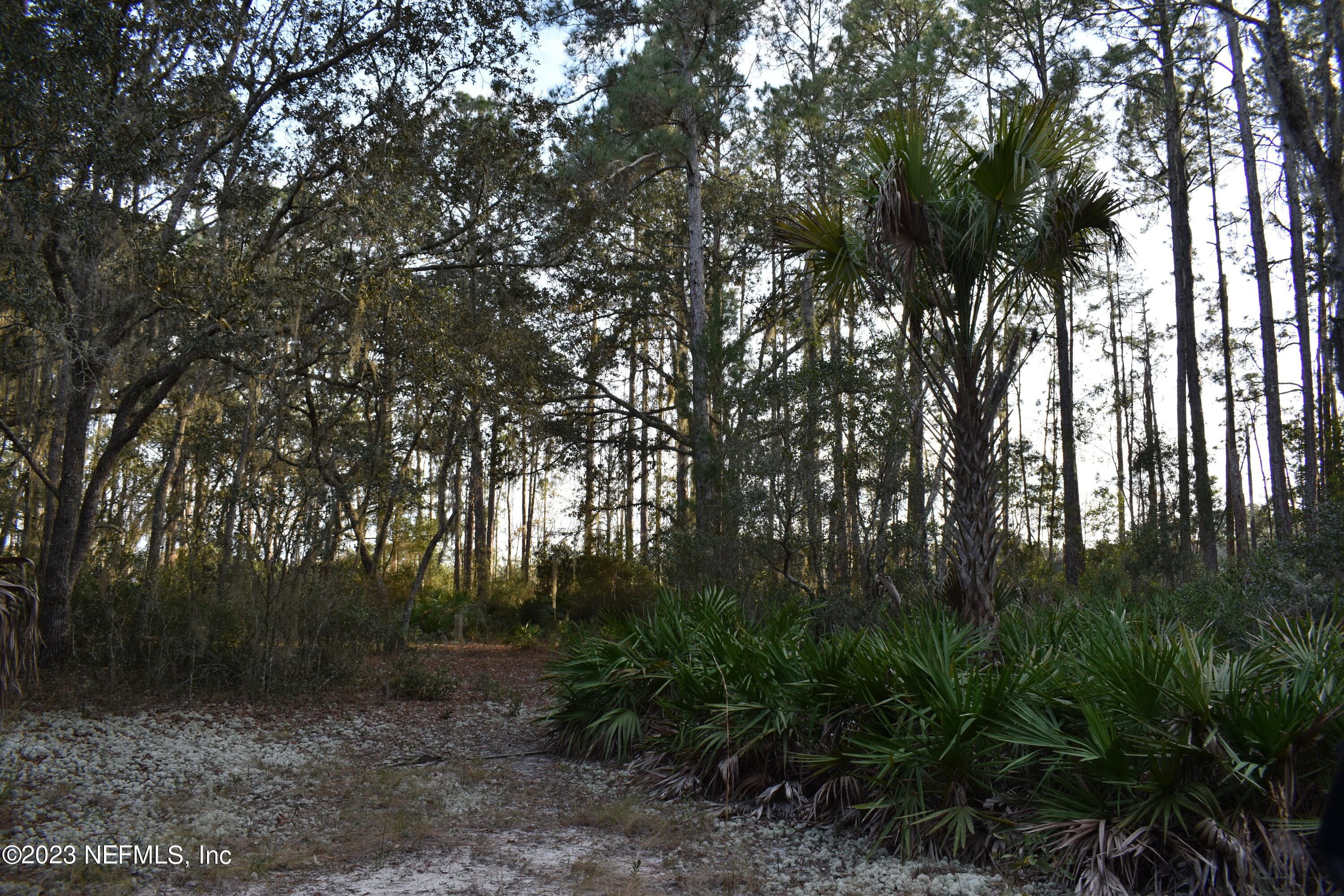 Photo 28 of 249 SIMPSON Drive, Interlachen, FL 32148