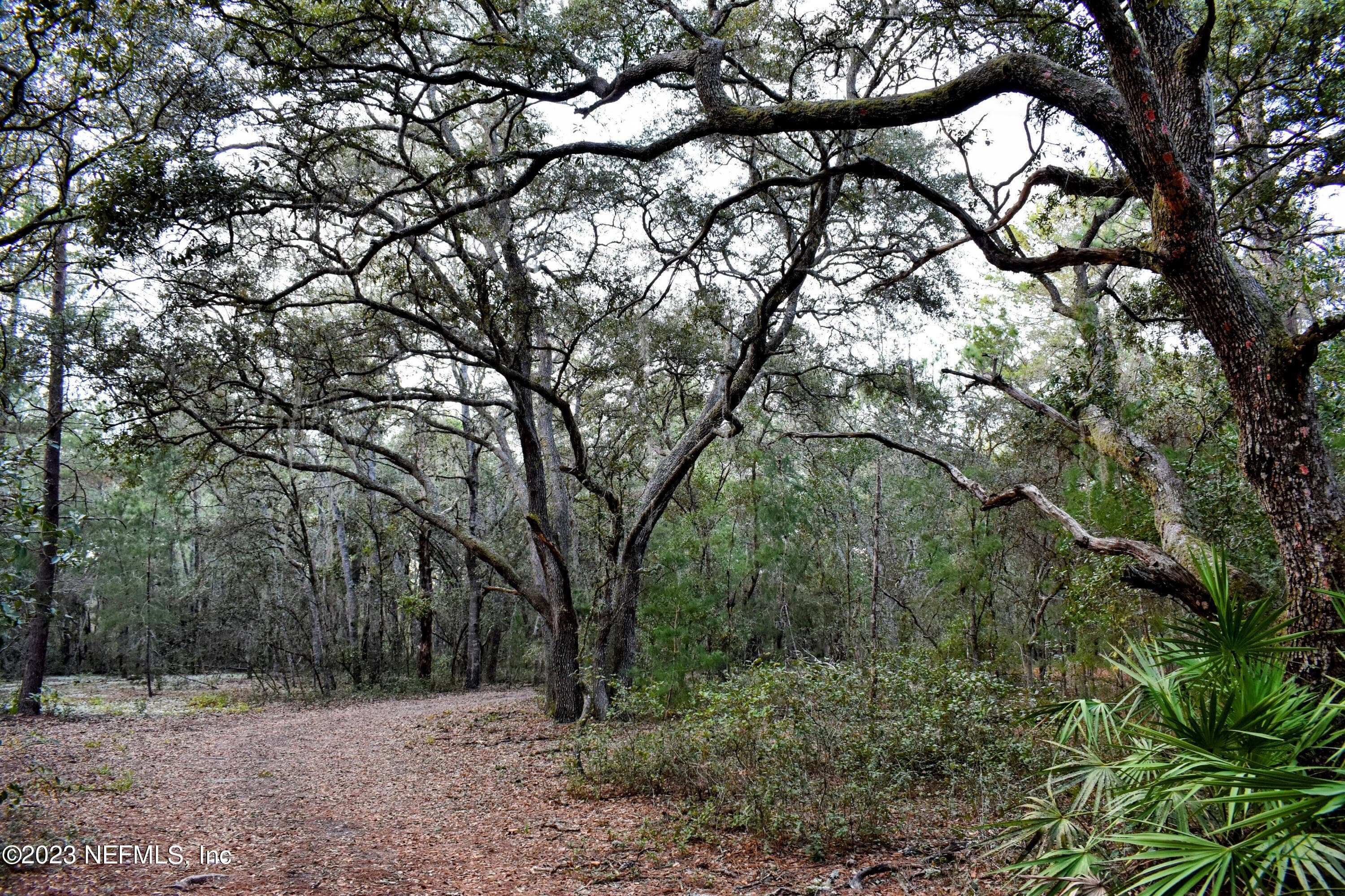 Photo 29 of 249 SIMPSON Drive, Interlachen, FL 32148