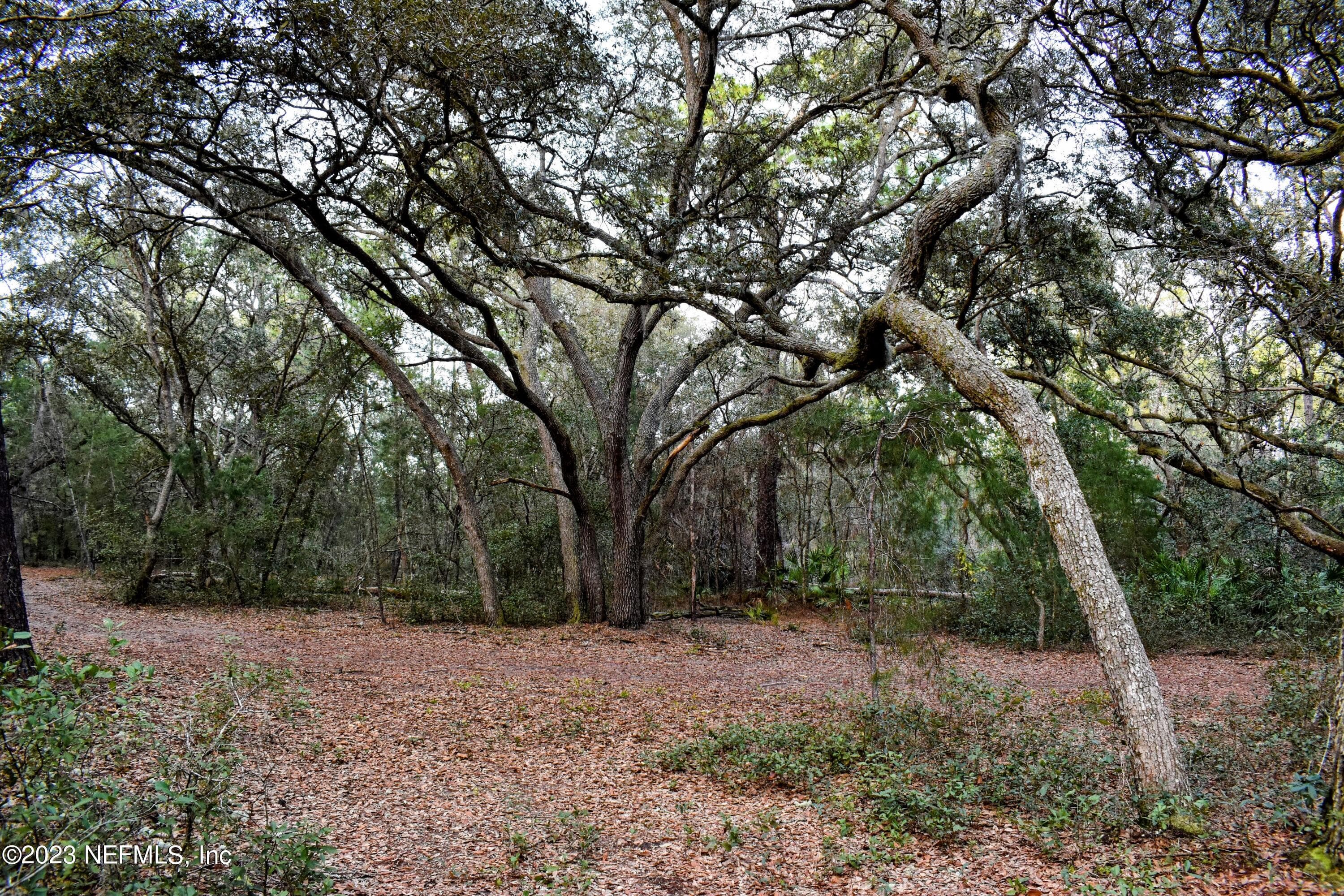 Photo 30 of 249 SIMPSON Drive, Interlachen, FL 32148