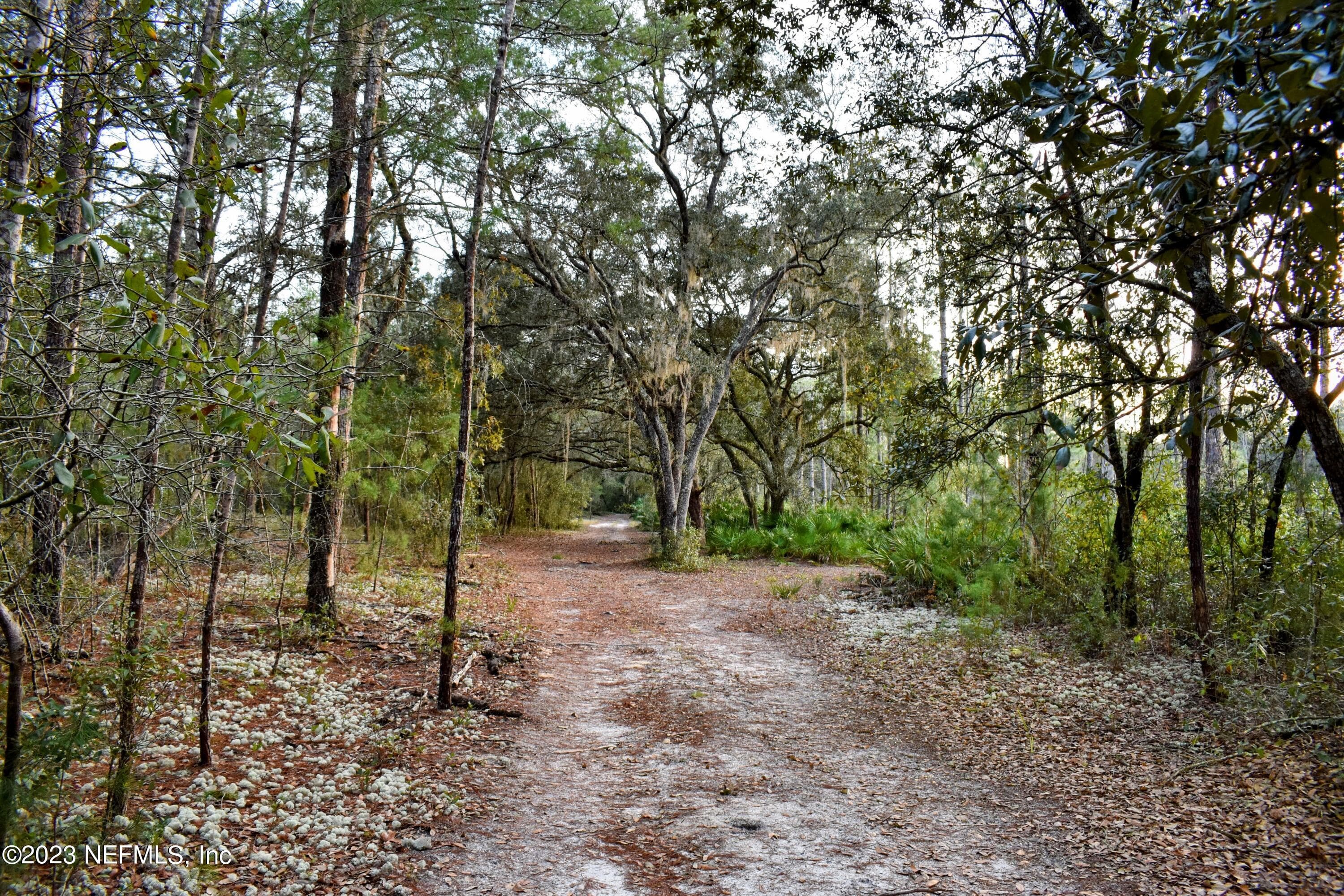 Photo 31 of 249 SIMPSON Drive, Interlachen, FL 32148