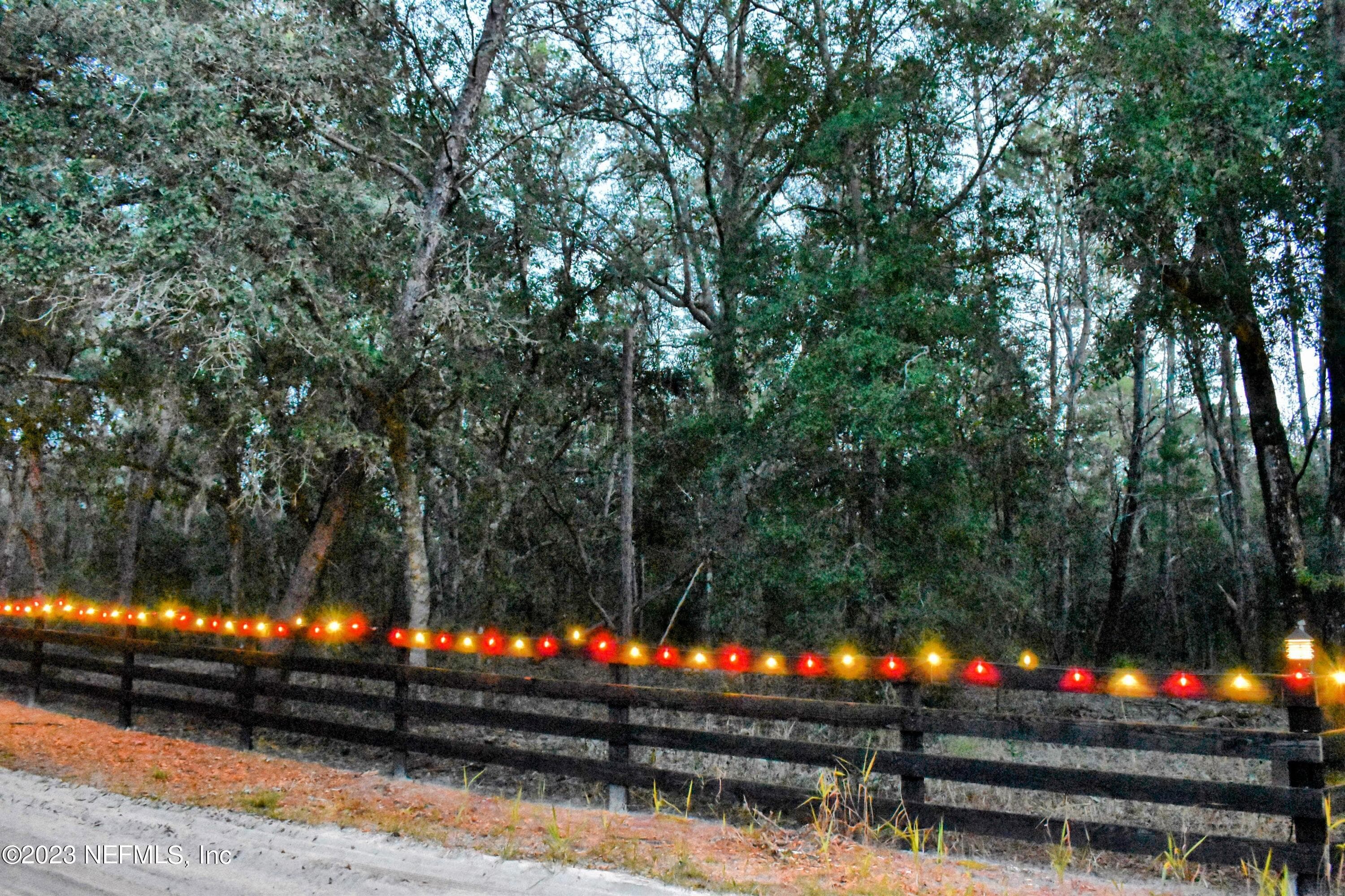 Photo 12 of 249 SIMPSON Drive, Interlachen, FL 32148