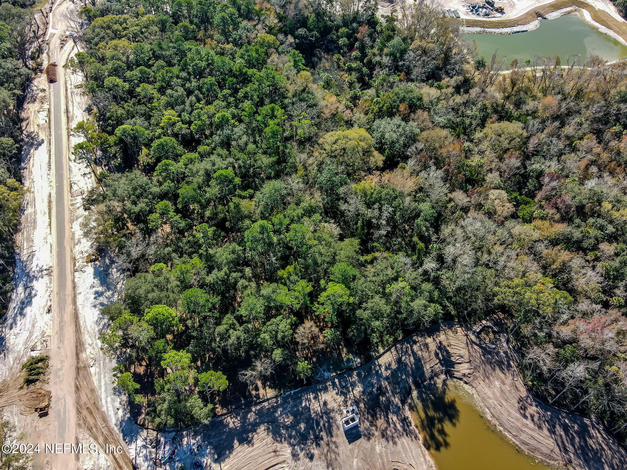 Photo 5 of 155 AUTUMN TIDE Trail, Ponte Vedra, FL 32081