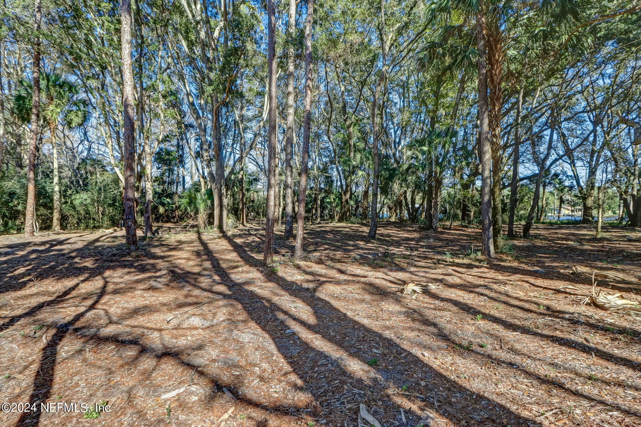Photo 11 of 155 AUTUMN TIDE Trail, Ponte Vedra, FL 32081