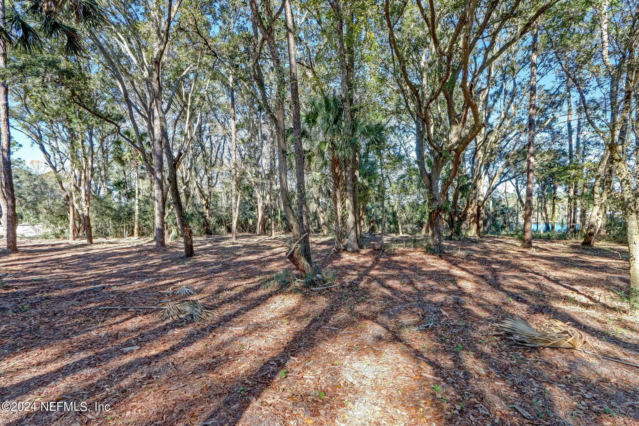 Photo 12 of 155 AUTUMN TIDE Trail, Ponte Vedra, FL 32081