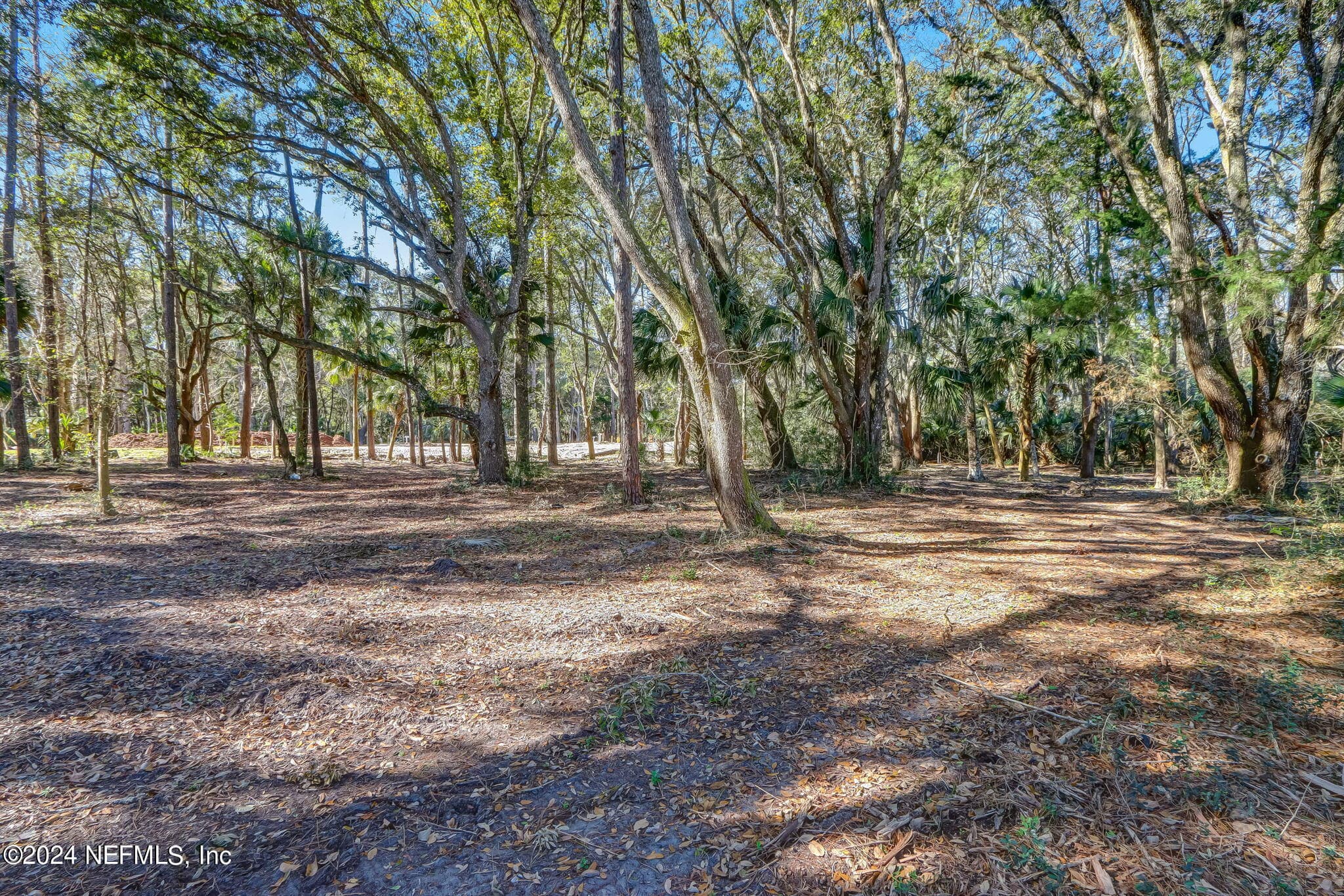Photo 13 of 155 AUTUMN TIDE Trail, Ponte Vedra, FL 32081