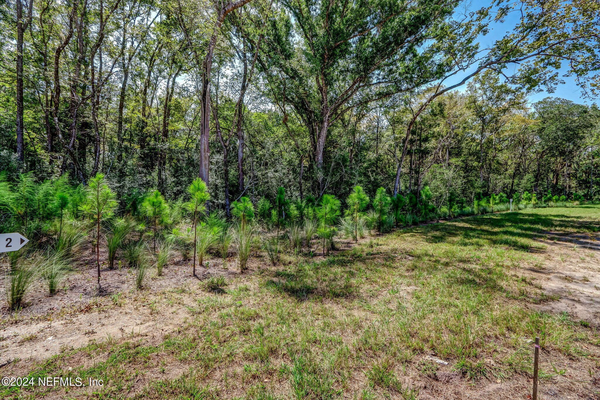 Photo 17 of 336 RIVER BREEZE Drive, Ponte Vedra, FL 32081