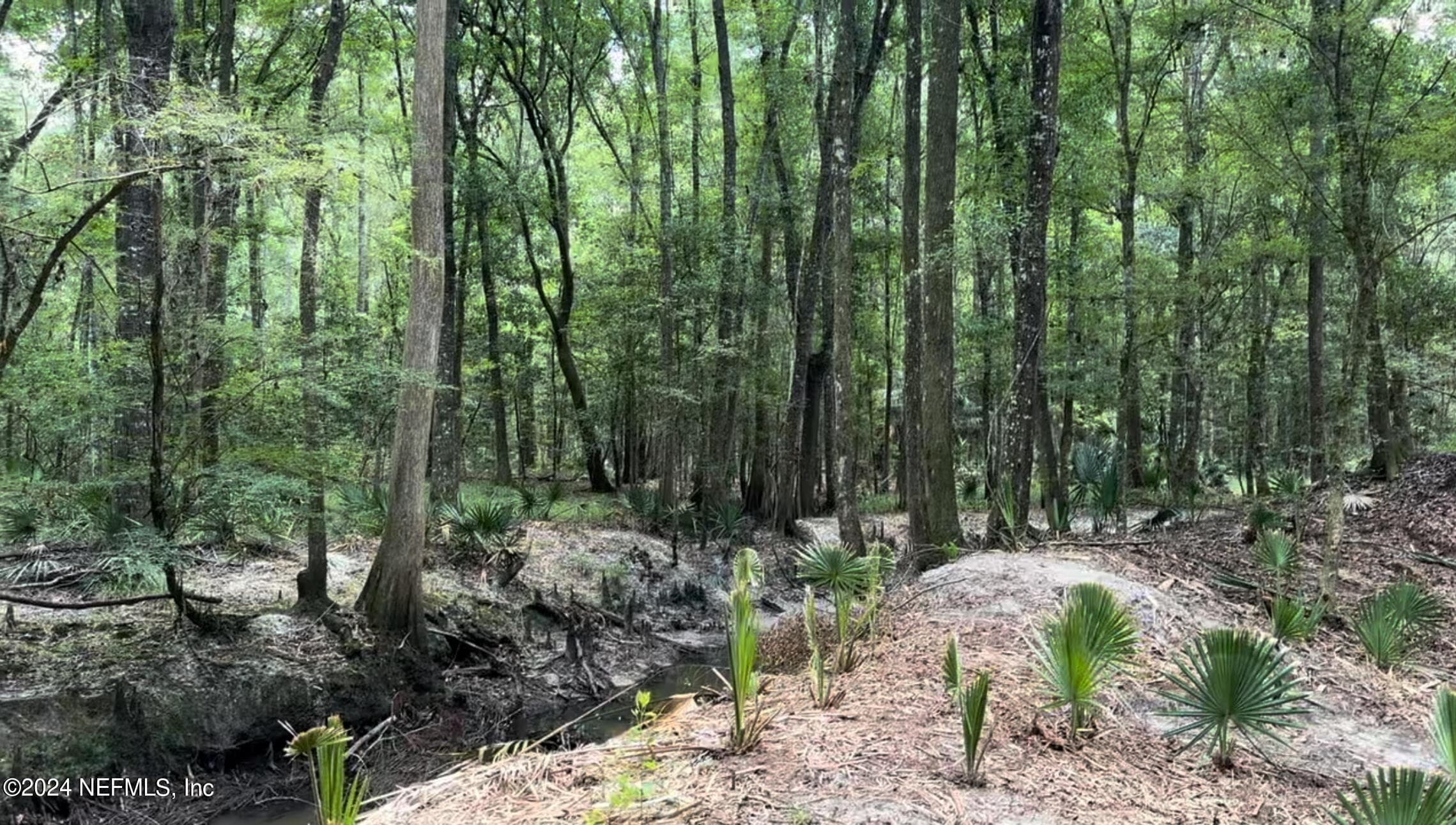 Photo 8 of LOT 1 US HWY 301, Bryceville, FL 32209