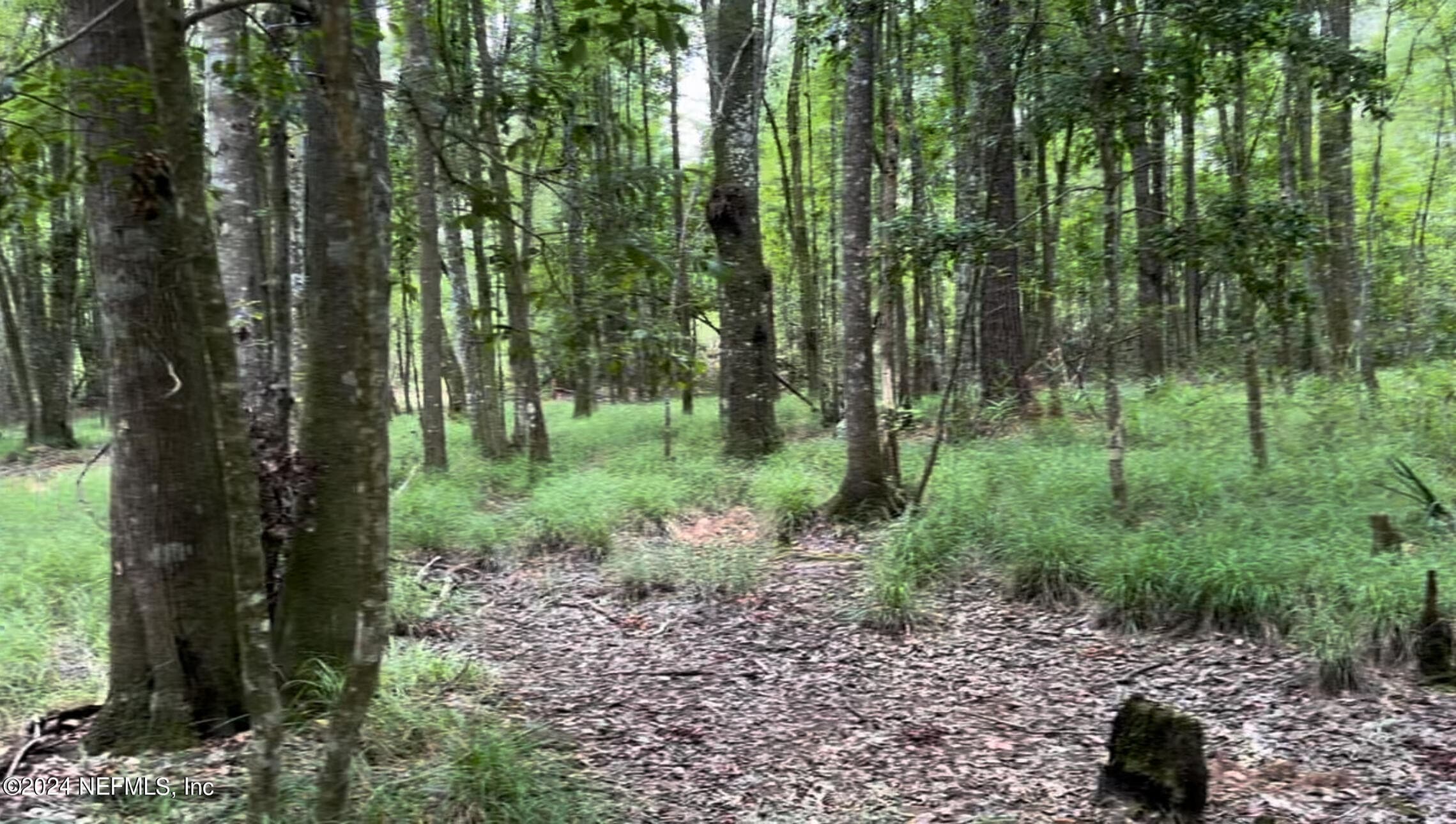 Photo 10 of LOT 1 US HWY 301, Bryceville, FL 32209