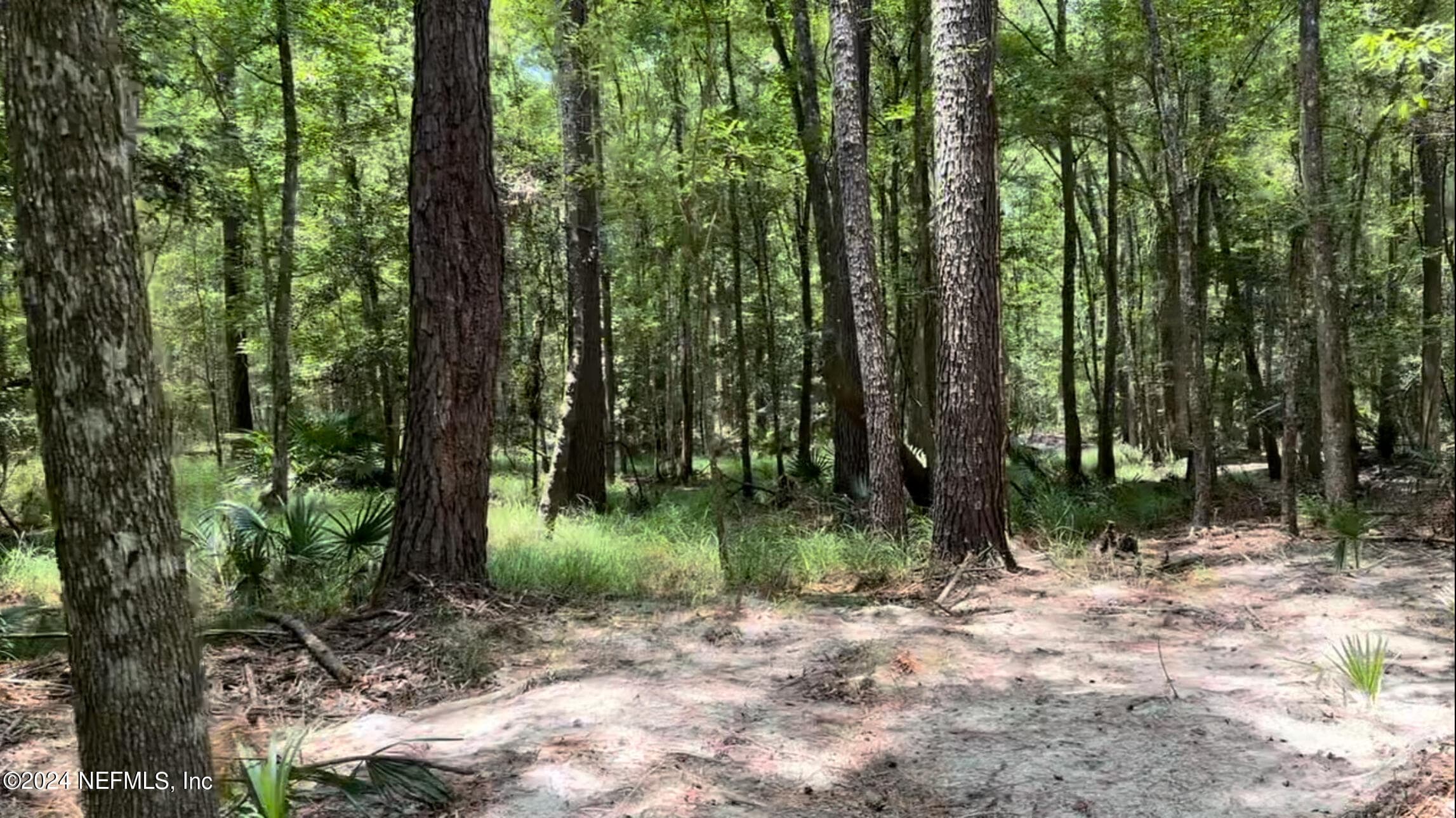 Photo 12 of LOT 1 US HWY 301, Bryceville, FL 32209