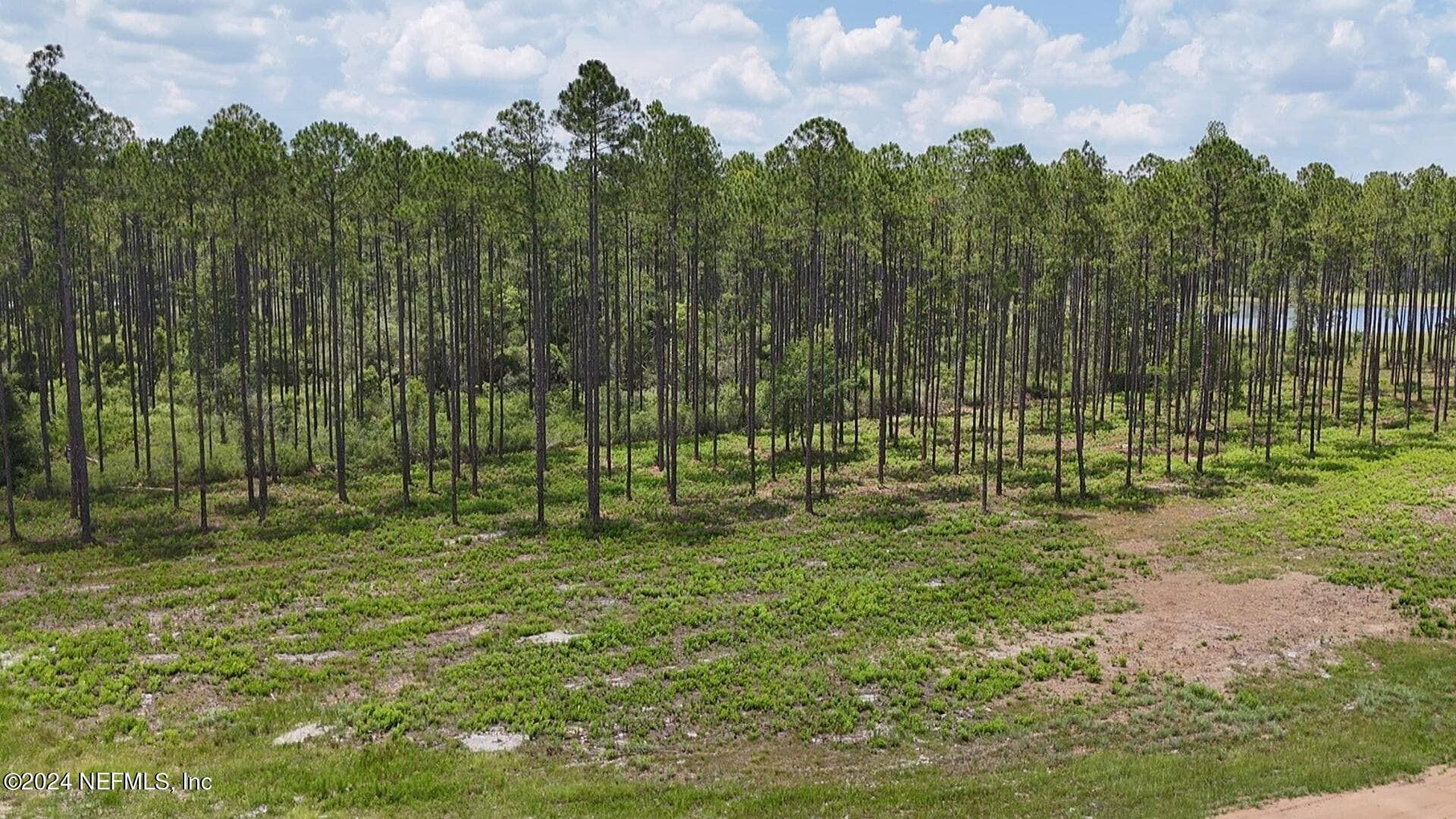 Photo 4 of LOT 3 US HWY 301, Bryceville, FL 32009