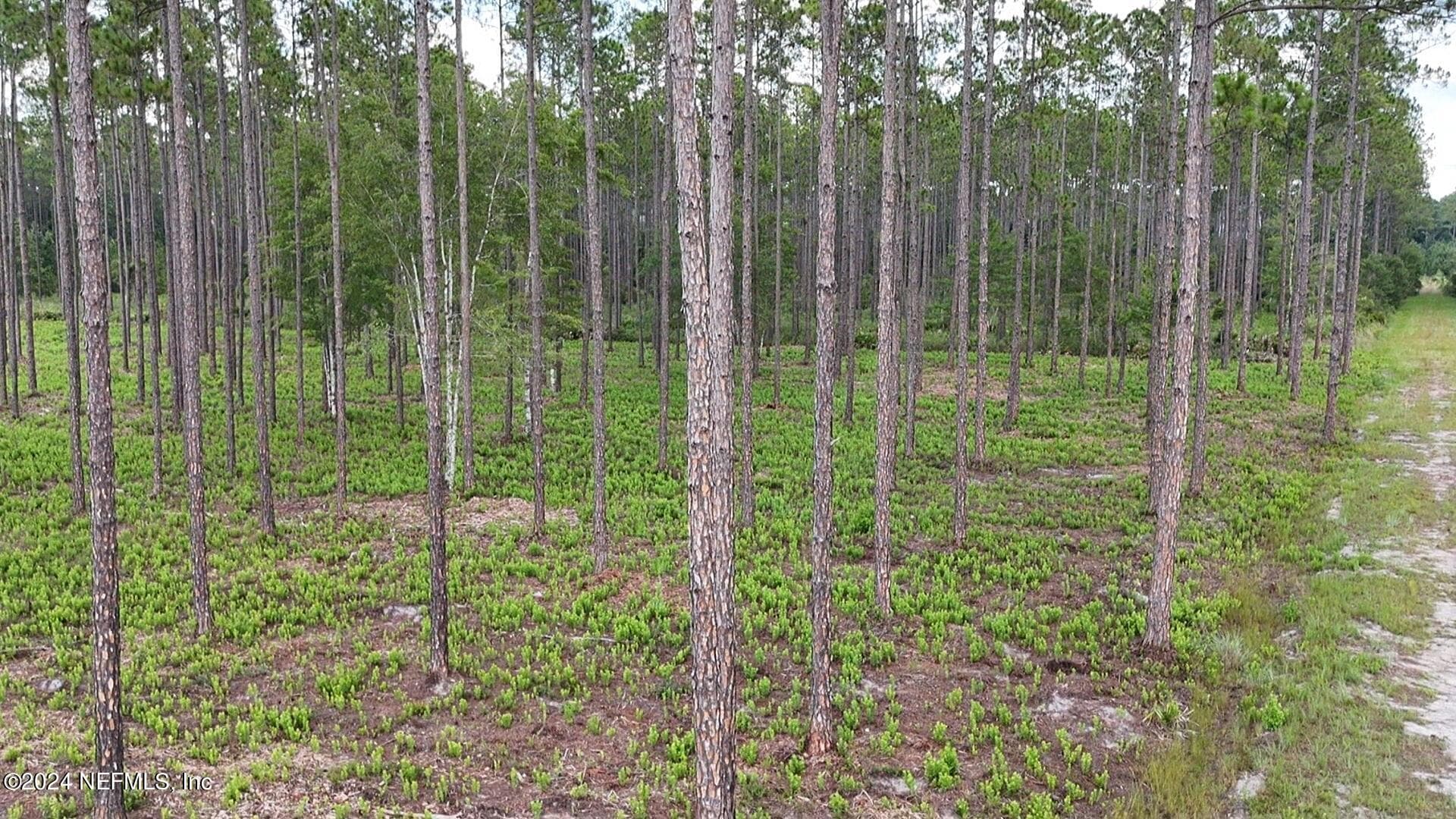 Photo 6 of LOT 3 US HWY 301, Bryceville, FL 32009