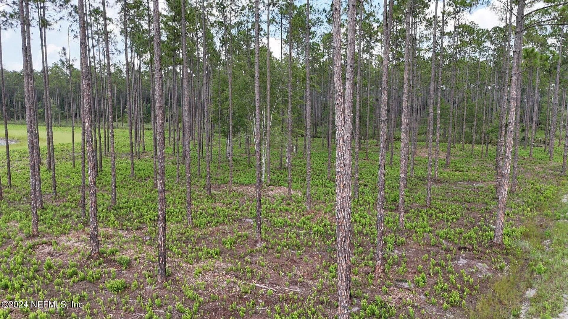 Photo 7 of LOT 3 US HWY 301, Bryceville, FL 32009